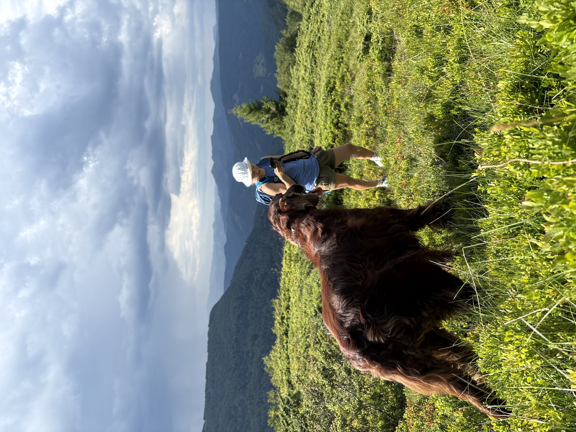 An Irish Setter dog stands on a grassy hillside, facing left, with its head down as if foraging. Behind the dog, a woman wearing a white hat, blue t-shirt, and khaki shorts stands holding a mobile phone. She is looking down at the phone, seemingly distracted. The background consists of lush green hills covered in dense forest, stretching into the distance, with layers of mountains fading into a hazy sky. The sky is dramatic, with dark, heavy clouds suggesting an impending storm, but also patches of sunlight breaking through. The scene appears to be in a mountainous, rural landscape. The location is identified as Katun Vulića, Montenegro.