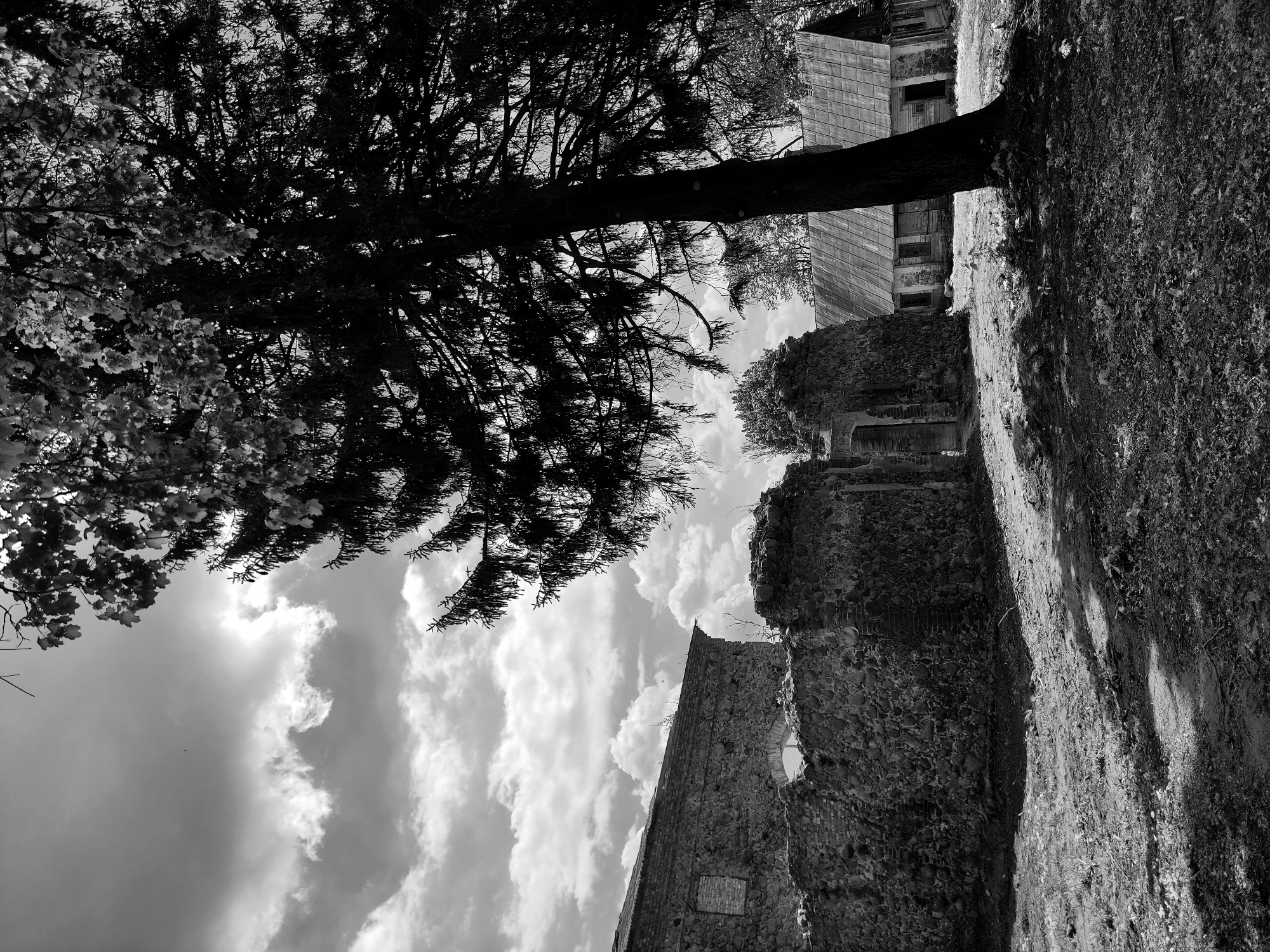 The image is a grayscale, slightly tilted view of an exterior scene. In the foreground, a large tree with dense foliage dominates the left side of the frame, its branches obscuring the sky. To the right of the tree, the remnants of a stone structure, possibly ruins, are visible, with walls that appear aged and textured. Beyond the ruins, there is a glimpse of what seems to be a wooden building with a simple design, likely located in the city of Жалудоцкі сельскі Савет, Belarus. The sky above is partially covered with clouds. The ground is covered with vegetation.