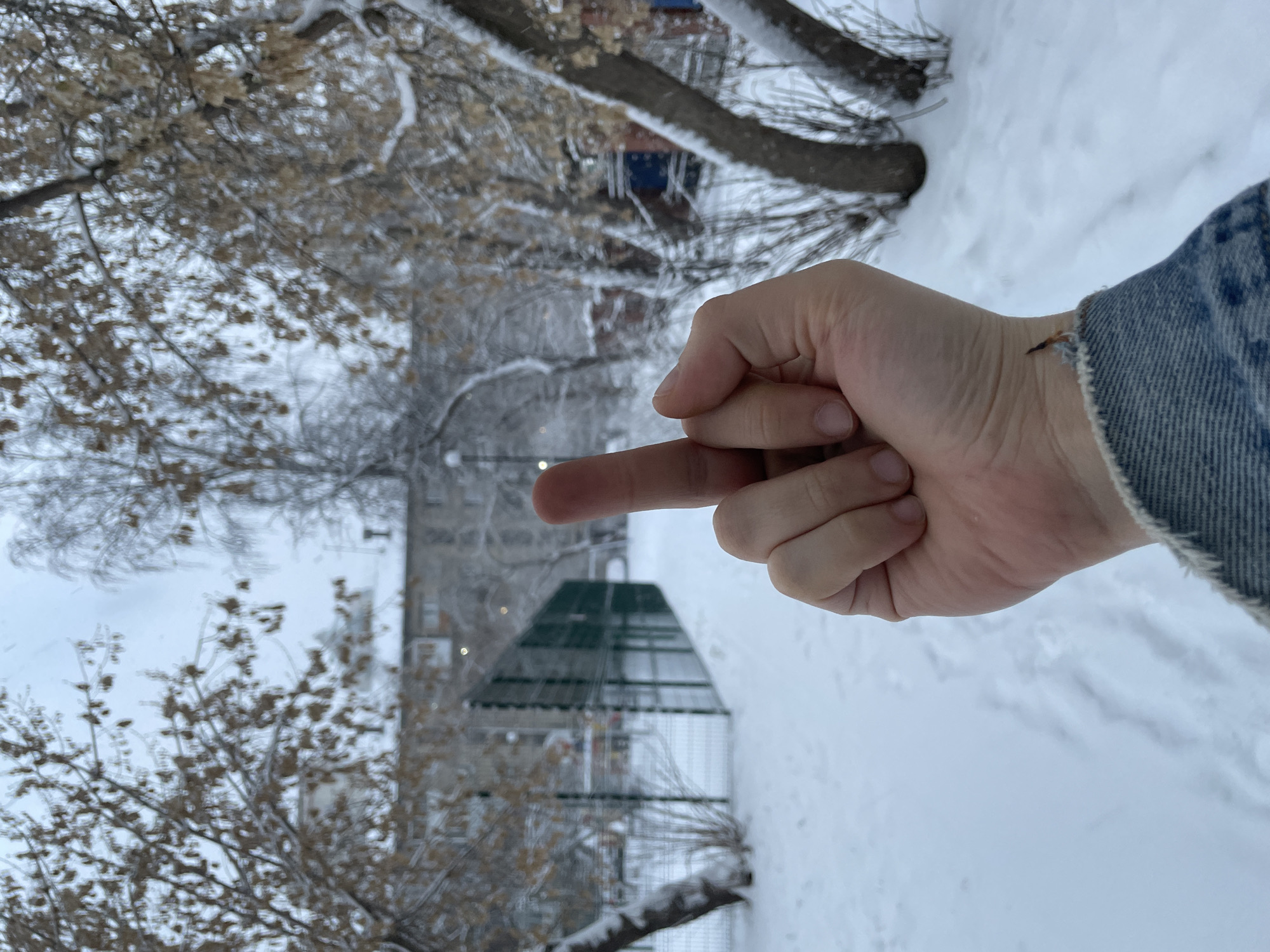 A person extends a middle finger in front of a snowy scene. Bare trees and snow-covered ground dominate the background. Behind the trees, indistinct buildings can be seen. The scene appears to be a snowy urban landscape. The exact location in Yekaterinburg is not discernible from the image.