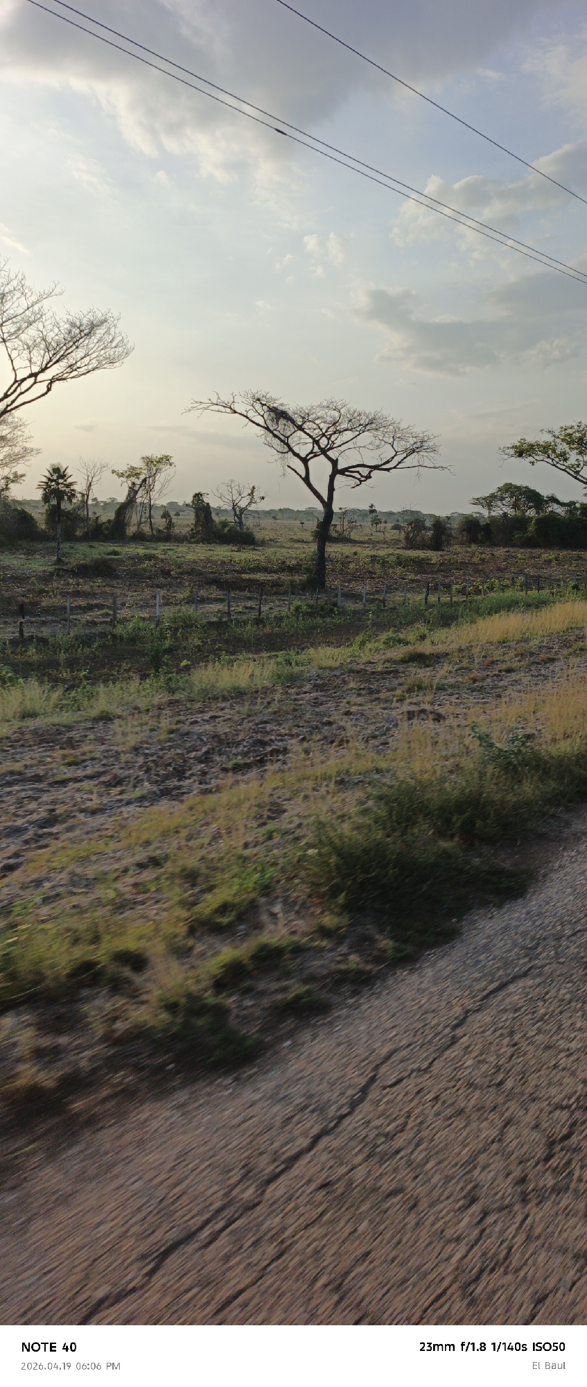 The image depicts a rural landscape at dusk. The foreground shows a dirt road with a rough texture. Beyond the road is a field with dry grass and some green vegetation. In the mid-ground, a wooden fence runs across the field, behind which are several bare trees. One tree in particular stands out due to its prominent, leafless branches. In the background, there's a mix of trees and vegetation under a cloudy sky. Electrical wires are visible across the top of the frame.
Text at the bottom indicates the image was taken with a "NOTE 40" camera on April 19, 2026, at 6:06 PM, with settings of 23mm, f/1.8, 1/140s, and ISO 50. The location is identified as "El Baul."