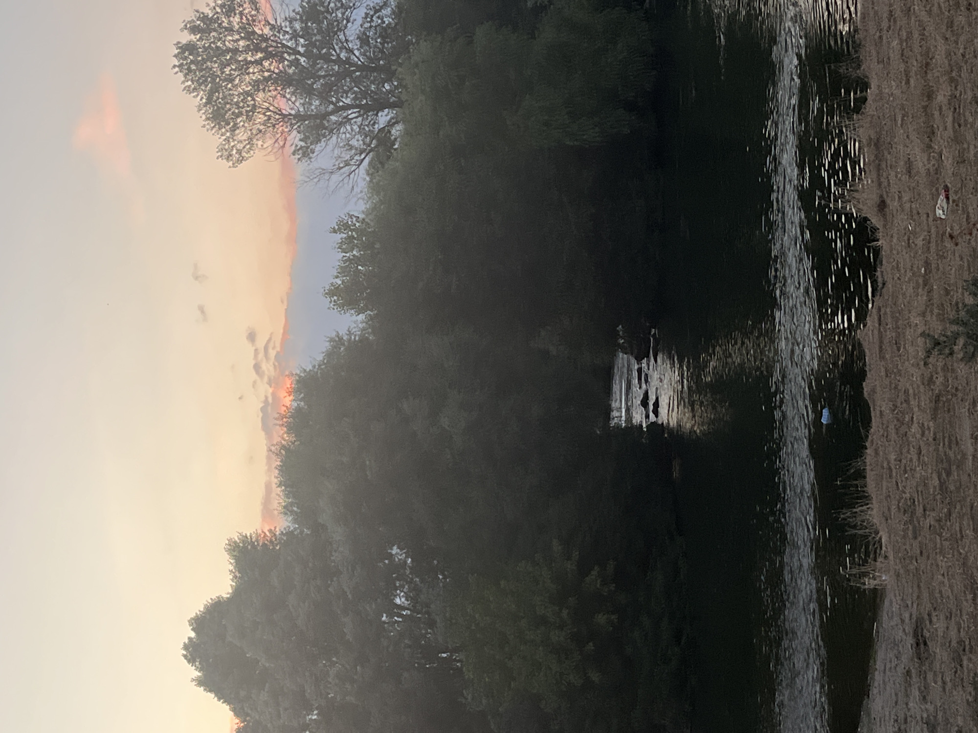 A serene, tranquil scene unfolds at dusk near the Maritsa River in Plovdiv, Bulgaria. The sky is painted with soft hues of orange and pink, transitioning into a pale yellow, with scattered clouds suggesting the end of a day. The river's surface is dark, reflecting the muted light and creating ripples that shimmer with faint highlights. Along the riverbank, dry grass and sparse vegetation indicate a natural, possibly wild, area.
Dominating the mid-ground are lush, dark green trees that form a dense canopy, creating a sense of enclosure. A gap within the trees reveals a section of the riverbed with exposed rocks, suggesting shallow water or a small cascade. A single white plastic bottle floats on the water's surface, a stark contrast to the natural beauty. On the foreground bank, dry, straw-like grass covers the ground, and further to the right, a discarded white and red object, possibly a plastic bag or wrapper, lies on the ground. The overall atmosphere is peaceful, with a hint of neglect due to the presence of the plastic debris.