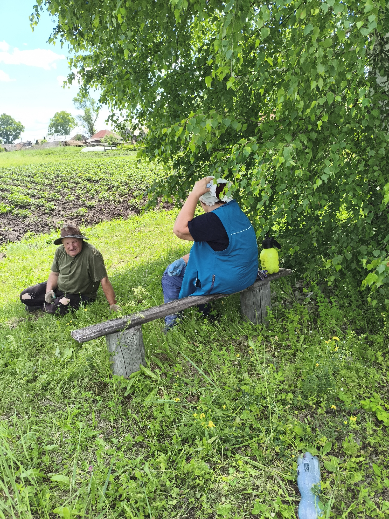 In a rural setting in the village of Ilmino, Russia, two individuals are taking a break from outdoor work amidst lush greenery and cultivated fields. On the left, a man wearing a wide-brimmed hat and a green t-shirt sits on the grass, facing forward. He is wearing dark pants and gloves, with a small tool or object in his right hand. To his right, a second person, from behind, is seated on a rustic wooden bench. This individual is wearing a blue vest over a dark top and blue pants, with gloves on their hands. They are adjusting something on their head. A bright yellow spray bottle rests on the bench beside them. The background reveals a field of young plants, suggesting agricultural activity, with a few houses visible in the distance. The scene is bathed in natural daylight under a partly cloudy sky, with dense foliage from a large tree dominating the upper right portion of the image.