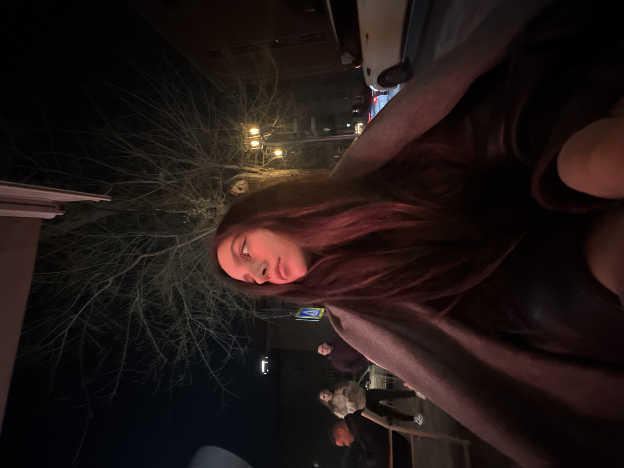 At night in Yerevan, Armenia, a woman is outdoors. The photograph appears to have been taken at an angle. She has long hair and is covered with a blanket or shawl. Behind her, there's a bare tree and streetlights. In the background, other people can be seen walking on the sidewalk. A pedestrian crossing sign is also visible.