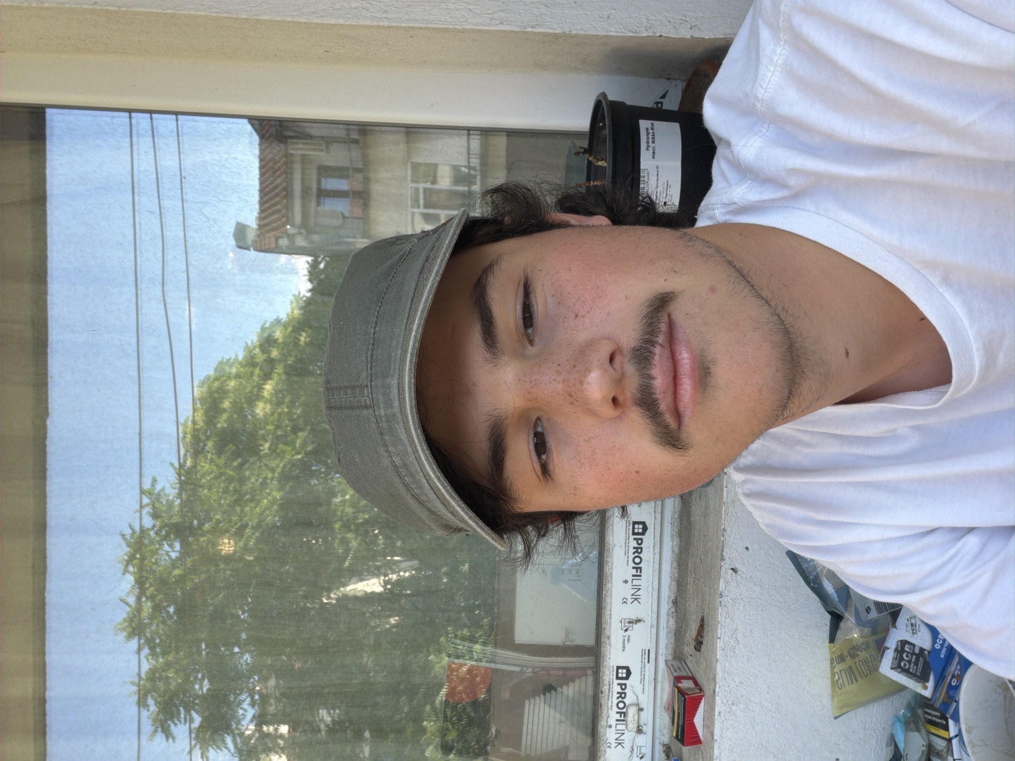 A young man wearing a grey cap and a white t-shirt is taking a selfie. He has dark hair, a mustache, and freckles on his face. He is outdoors, with a window behind him that shows trees, a blue sky, and a building. There are some objects on a ledge in front of the window, including a pack of cigarettes and a potted plant. The scene appears to be on a balcony or windowsill. The window frame has text printed on it, including "PROFILINK". A close-up image of the potted plant shows a label that reads "Hydrangea". The lower portion of the image shows the man's chest and shoulder, and below that, several bags and containers, some of which appear to be construction-related or personal items. The general environment suggests a residential area.