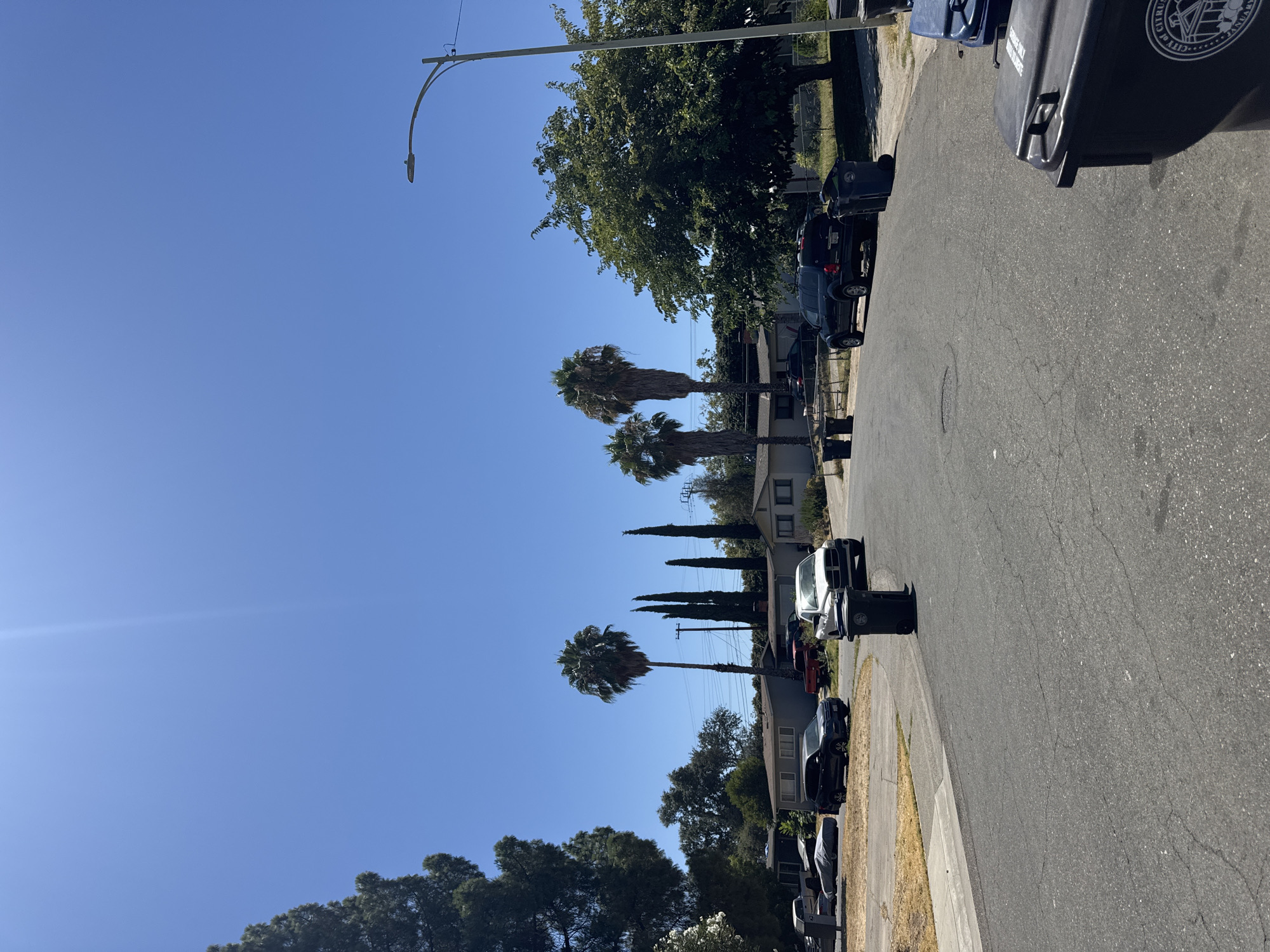 The image shows a residential street in Citrus Heights, California, on a sunny day. The street is asphalt with visible cracks. Several cars are parked along the street and in driveways, including a dark SUV, a white pickup truck, a silver sedan, and a red truck. Houses with light-colored exteriors line the street. Various trees, including palm trees and a large deciduous tree, are present. Trash bins are visible on the side of the road, with one black bin in the foreground showing a seal with "CITY OF CITRUS HEIGHTS" and "JANUARY 1897". A street lamp is also visible in the upper right portion of the image. The sky is clear and blue.