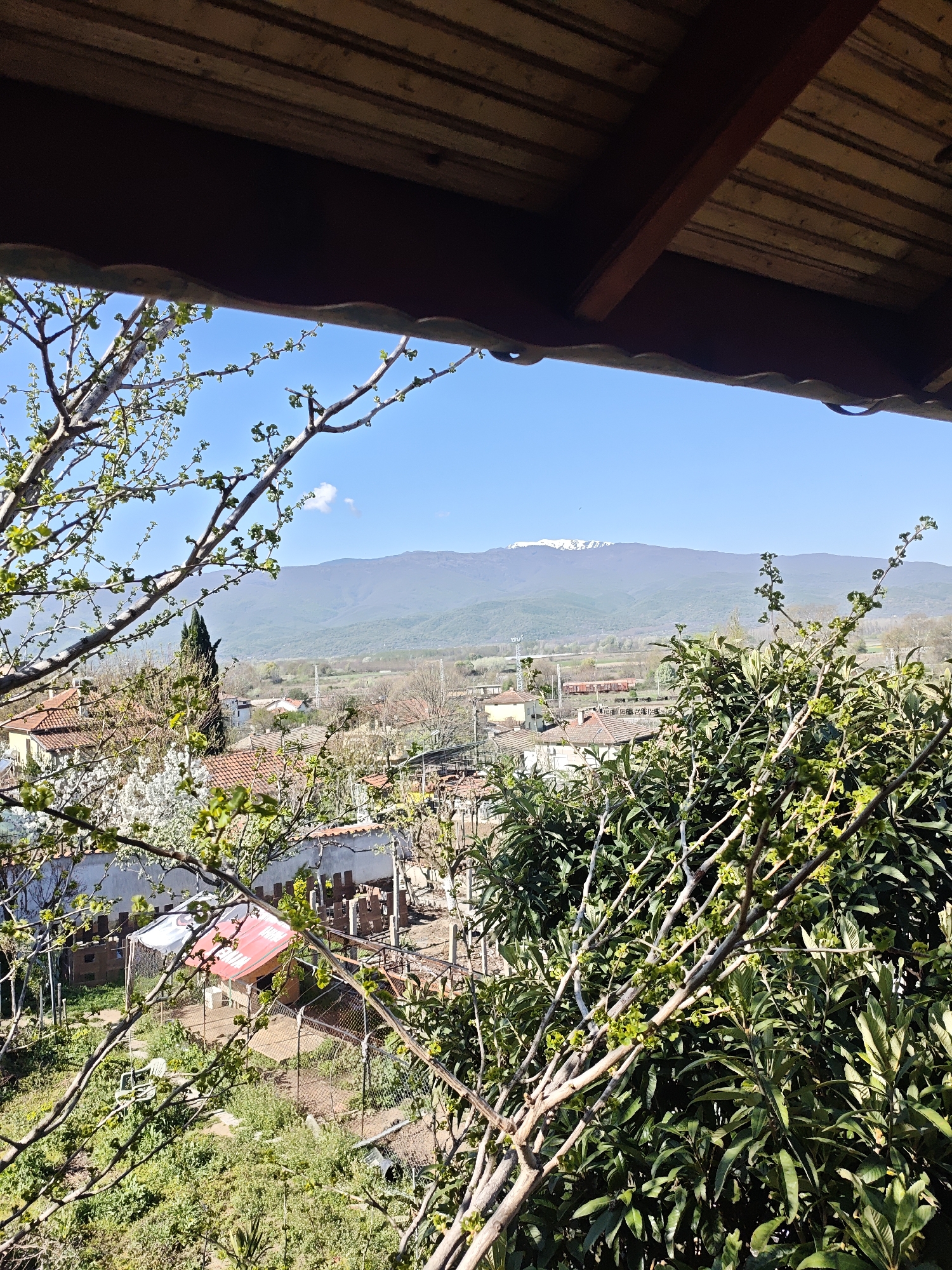 The image captures a view from under a wooden roof structure, possibly a porch or balcony, overlooking a rural or suburban landscape. In the middle ground, there are houses with red tiled roofs and gardens. A patch of snow-capped mountains can be seen in the distance under a clear blue sky. The foreground is partially obscured by tree branches with sprouting leaves, creating a sense of being framed by nature. There is a small structure with a red and white roof within a fenced-in area. The location is in the city of Unknown, Unknown.