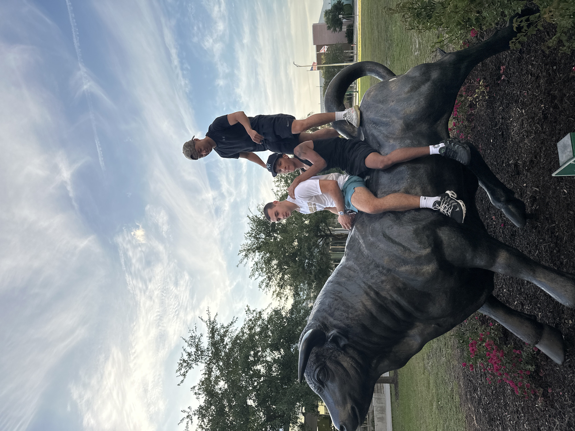 Three young men are posing atop a large, bronze bull statue. The lowest man wears a white shirt and blue shorts. The middle man is wearing a black tank top and shorts. The top man is wearing a black shirt, black shorts, and a baseball cap. The statue is located outdoors, with a green lawn, trees, and blue skies with wispy clouds visible in the background. The photograph was taken in Tampa, Florida, United States. This is likely the USF bull statue on the campus of the University of South Florida.