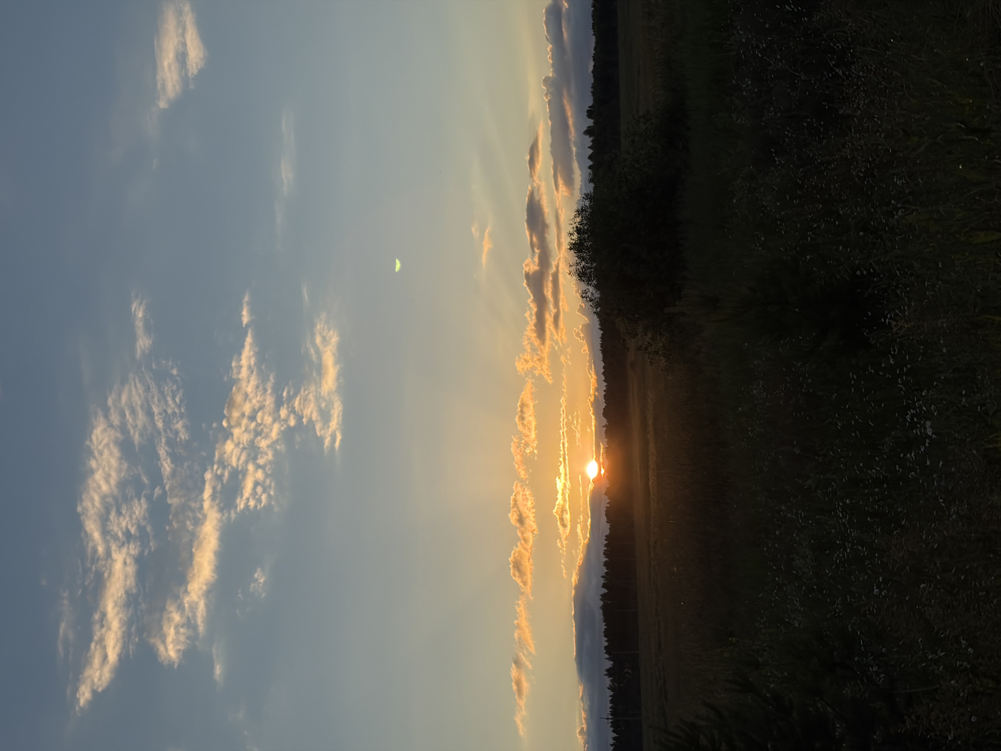 The image depicts a sunset over a rural landscape in Balakli, Russia. The sun is low on the horizon, casting a warm orange glow across the sky. Wispy clouds are illuminated by the setting sun, creating a beautiful contrast with the deep blue sky. A dark line of trees stretches across the middle ground, with a field of grass in the foreground. The overall mood is serene and peaceful. The time of day is sunset, and the weather appears clear. There is no visible text in the image.