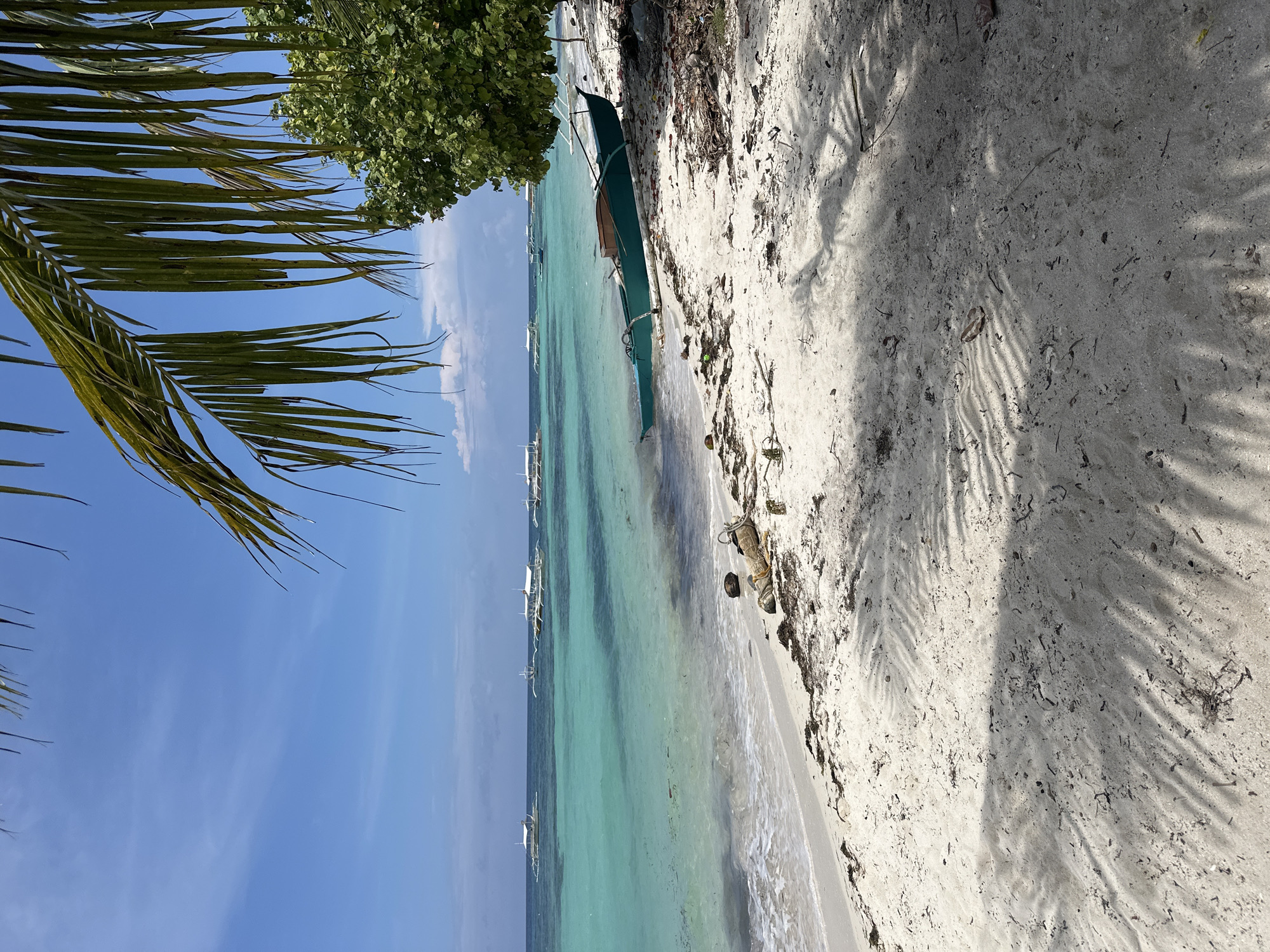 A bright, sunny day is depicted on a tropical beach in Panglao, Philippines. The foreground is dominated by a sandy beach scattered with debris such as seaweed, shells, and twigs, with palm frond shadows cast across it. A green outrigger boat rests on the shore, angled towards the turquoise water. The ocean is calm with gentle waves lapping the shore. Several other outrigger boats are visible further out at sea, anchored or drifting. The water transitions from clear shallow turquoise near the shore to a deeper blue on the horizon. A lush green tree stands on the right side of the frame, providing shade. The sky is a clear blue with a few wispy white clouds. The image captures a serene, idyllic beach scene typical of the Philippines.