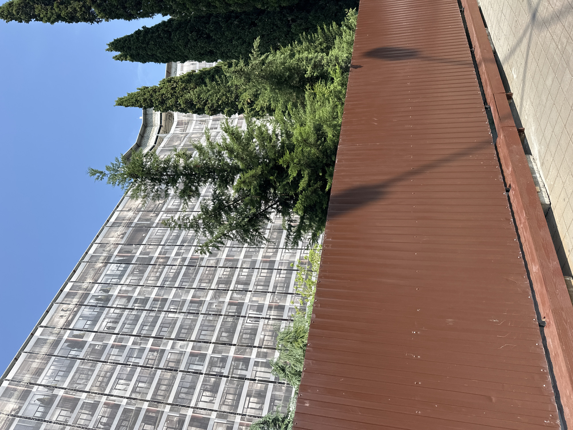 The image captures a sunny day scene in Sochi, Russia, dominated by a tall, multi-story building covered in a mesh netting that displays a printed facade resembling windows and balconies. In the foreground, a rust-colored corrugated metal fence runs horizontally across the frame, with a wooden support structure visible at its base. Several tall, green coniferous trees stand behind the fence, partially obscuring the building's printed facade and reaching towards the clear blue sky. Shadows of trees are cast upon the fence. The ground is paved with light-colored rectangular tiles. The scene suggests an urban or resort environment, possibly during construction or renovation of the building.