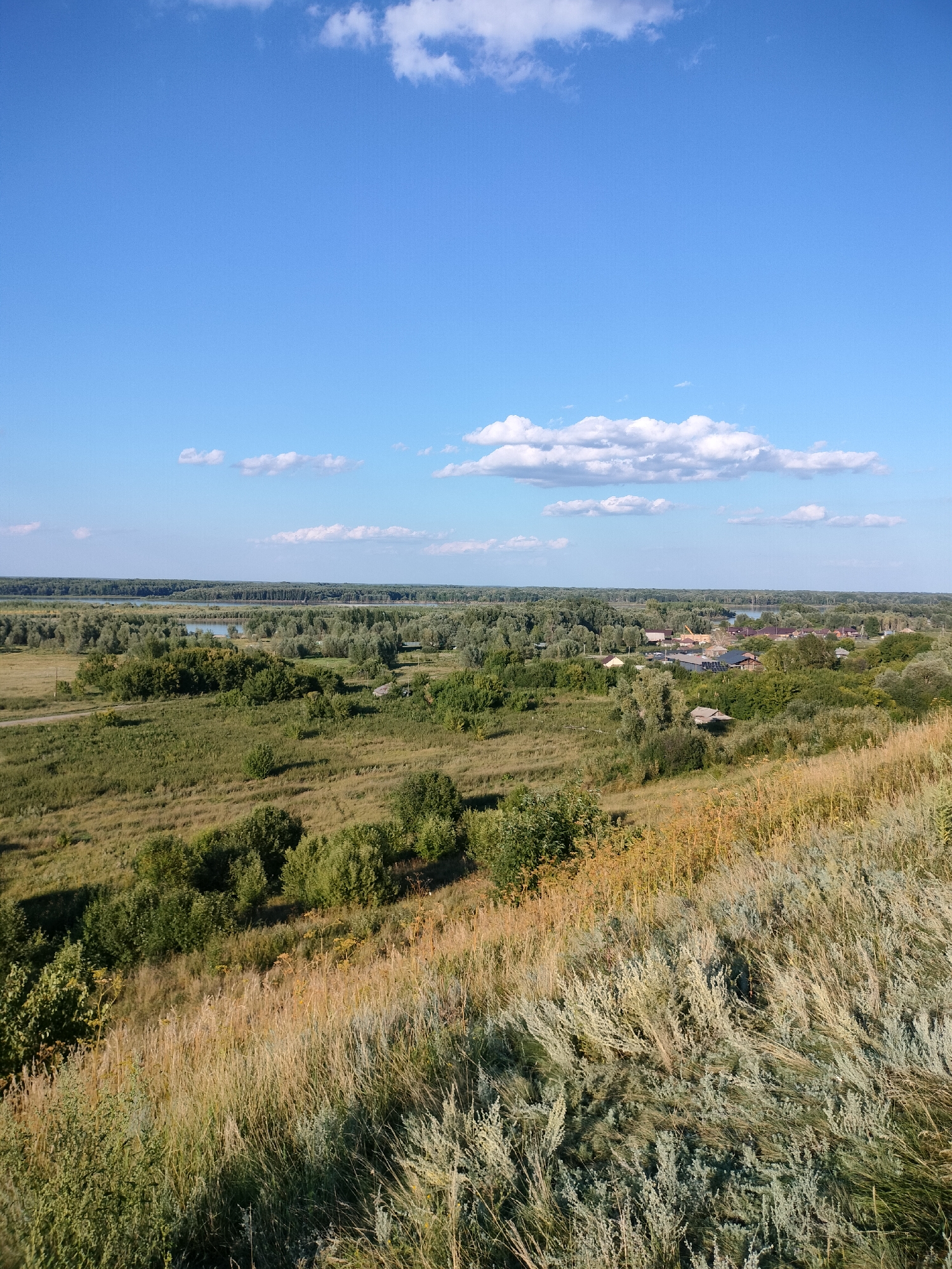 An aerial perspective captures a vast, verdant landscape under a bright blue sky dotted with scattered white clouds. The foreground is dominated by a sloping hillside covered in dry, golden-hued grasses and various green shrubs. As the eye moves towards the middle ground, the terrain flattens out, revealing a patchwork of green fields and dense clusters of trees. A small, scattered village is nestled within the greenery, characterized by a collection of houses with dark roofs. Beyond the village, a wide river meanders through a thick, dark green forest that stretches to the horizon. The overall scene suggests a rural or semi-rural setting in the countryside.