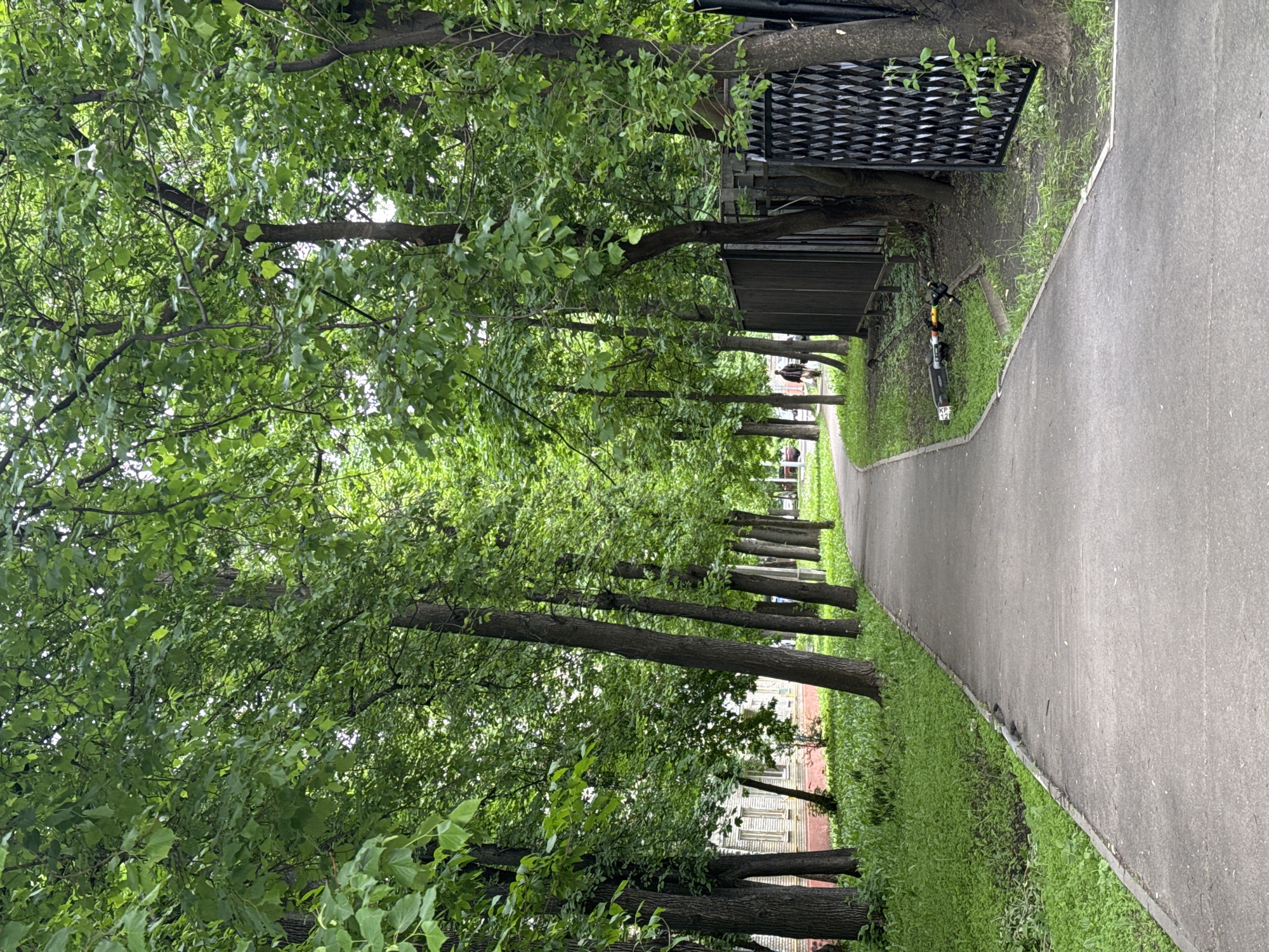 A straight, asphalt pedestrian walkway is bordered by closely spaced trees on the left and a mix of trees, grass, fences, and building facades on the right. The trees form a green canopy overhead, partially obscuring the sky. A black scooter is parked near a fence. The location is likely in Moscow, Russia, based on context clues. No people are visible in the image.