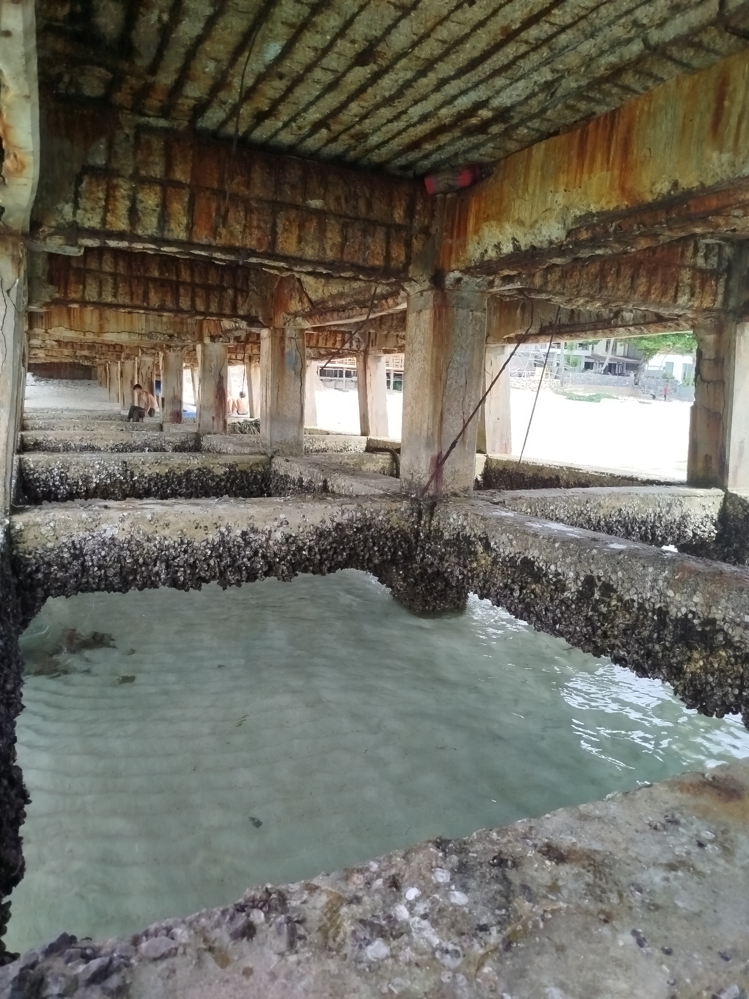 The image depicts the understructure of a weathered concrete pier or building, likely located in the Ko Pha-ngan District of Thailand. The concrete is heavily corroded, with exposed rebar exhibiting significant rust. The pier's ceiling is a grid of concrete beams, also showing extensive rust stains. Below the ceiling, vertical concrete pillars support the structure, some appearing weathered and stained.
The pier extends over clear, shallow turquoise water. The water's surface is rippled, and the sandy bottom is visible beneath. The edges of the concrete structures submerged in the water are encrusted with barnacles and other marine growth.
In the background, a sandy beach is visible, with several low-rise buildings and palm trees suggesting a tropical coastal environment. A few individuals can be seen in the mid-ground, standing on the sandy area beneath the pier. One person, a male wearing shorts, appears to be interacting with another individual. The overall scene conveys a sense of age and exposure to the elements, characteristic of coastal structures in a tropical climate.