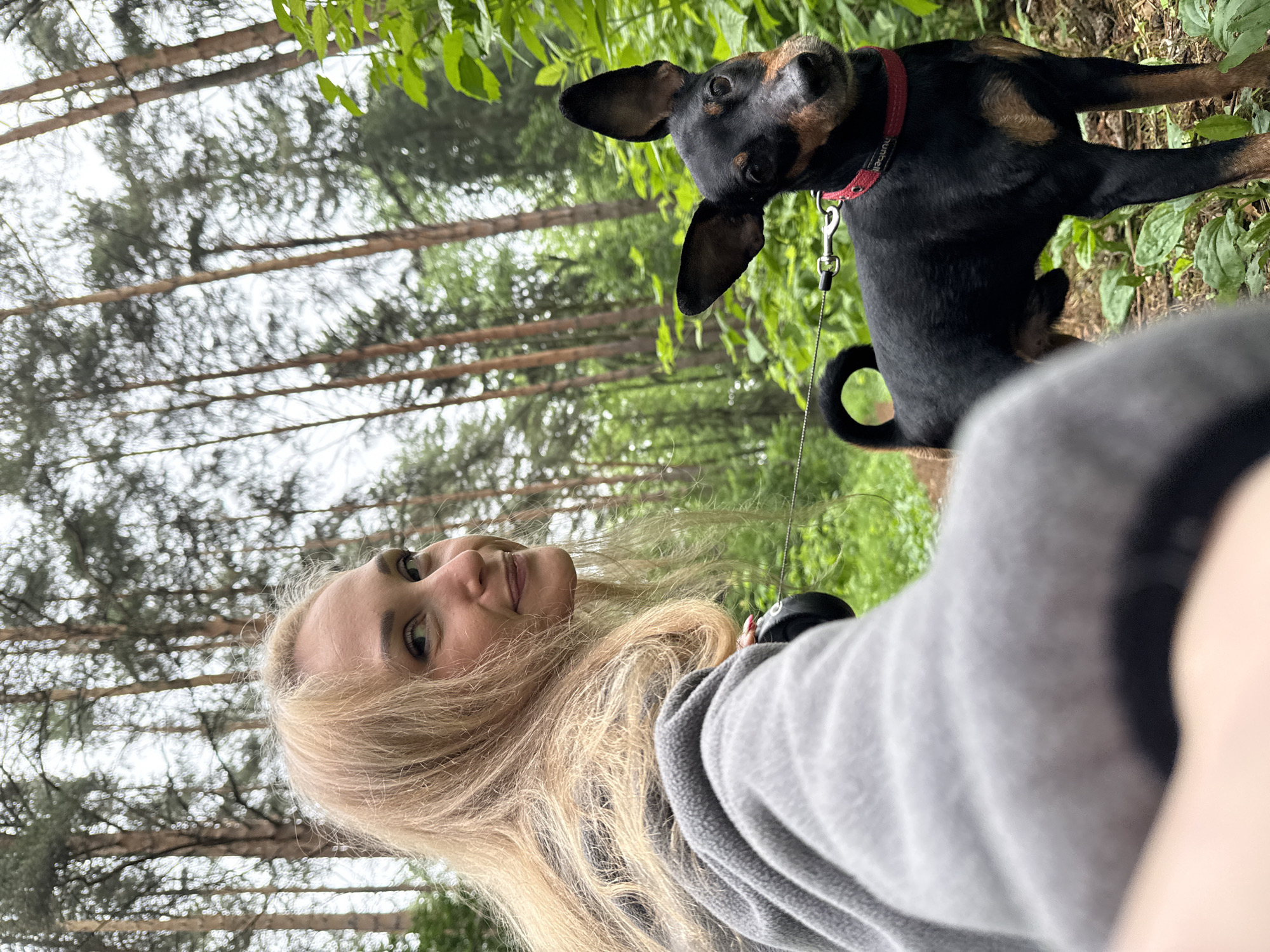 A selfie captures a blonde woman and her black and tan dog in a wooded area in Chaikovsky, Russia. The woman, positioned on the left side of the frame, smiles gently towards the camera, her long, light-blonde hair flowing over her shoulders. She is wearing a grey hooded sweatshirt. To her right, the small black and tan dog, possibly a Dachshund mix, looks up with an alert and curious expression, its ears perked. The dog wears a red collar with the word "NURIBEL" partially visible, and is attached to a leash.
The background depicts a dense forest environment with numerous tall, slender trees, likely pines, their trunks extending vertically into a soft, out-of-focus canopy. Green foliage is visible in the foreground and around the dog, suggesting lush vegetation. The lighting indicates an overcast or cloudy daytime, providing a soft, diffused illumination across the scene. The image conveys a pleasant outdoor activity, likely a walk or hike, shared between the woman and her canine companion in a natural setting.