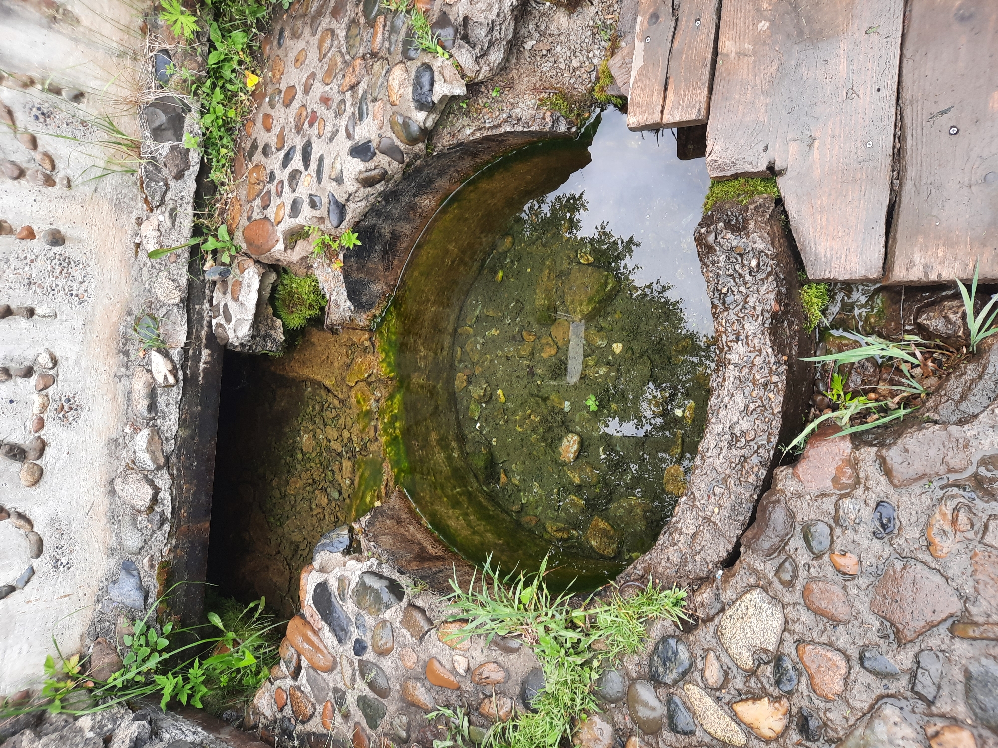 The image shows a natural spring or well in a park-like setting in Zelenogorsk, Russia. The well is circular and made of concrete, with a wooden board extending from its edge. The surrounding area is paved with natural stones and rocks, and vegetation such as grass and moss grows around the edges. The water in the well is clear with some debris and algae visible. The reflection of trees can be seen on the surface of the water. A channel carved into concrete leads from the well, suggesting a water flow system. The overall impression is one of a well-maintained, natural water feature within a public space.