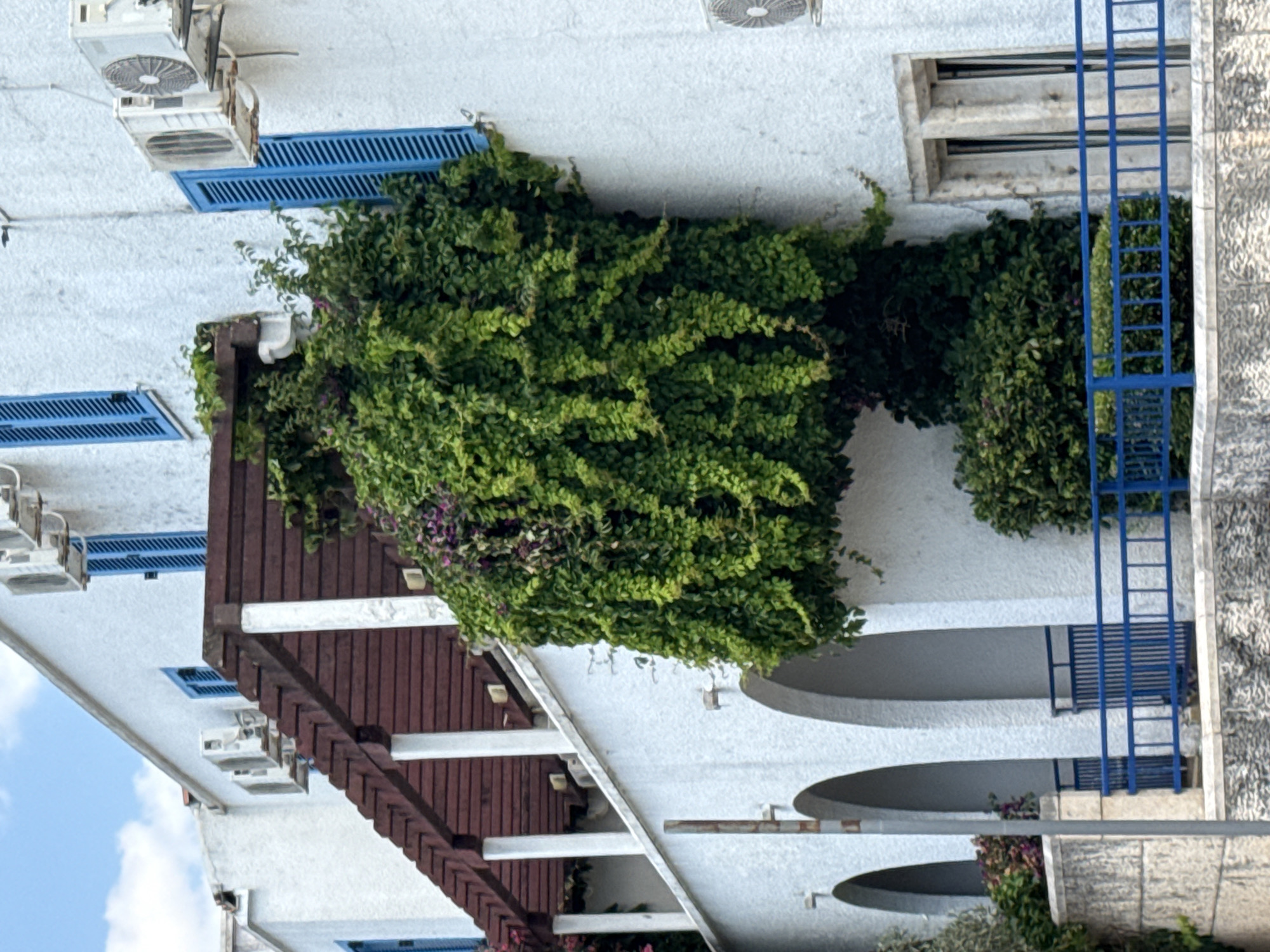 The image depicts the exterior of a white building with multiple levels and balconies. Lush green foliage, with hints of purple flowers, cascades down the side of the building, partially obscuring some of the architectural features. The vegetation appears to be a dense climbing plant, creating a natural canopy.
On the building's facade, several air conditioning units are visible, mounted on the walls. Blue louvered shutters are installed over some of the windows, adding a pop of color against the white exterior. A blue metal ladder stands vertically against the building on the right side of the frame.
The building's design includes arched openings on the lower levels, suggesting balconies or walkways. The overall scene suggests a warm climate, possibly during the daytime, with bright, natural light. The setting appears to be a residential or commercial building in a Mediterranean or similar environment. There are no people or specific activities immediately evident in the image, focusing instead on the interplay between the architecture and the abundant greenery. The location context provided, Boreti, Montenegro, aligns with the visual cues of a sunny, possibly coastal, environment.