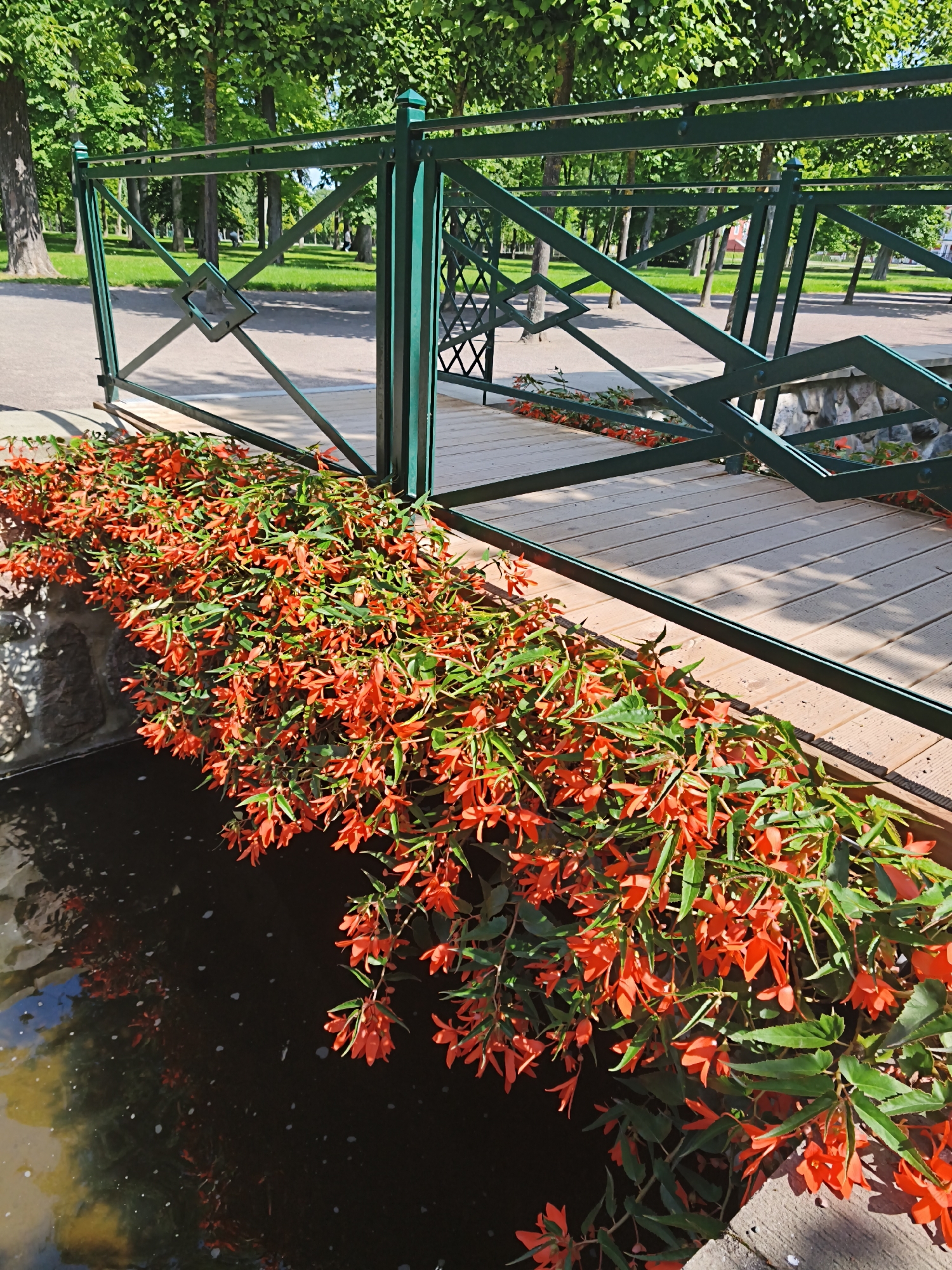 The image shows a close-up view of a bridge railing and the surrounding flora in Tallinn, Estonia. The railing is made of dark green painted metal with an intricate geometric design. It overlooks a body of dark water, possibly a canal or moat. Along the edge of the water, and spilling onto the bridge's wooden planks, is a profusion of bright red-orange flowers with lush green foliage. The flowers are small and bell-shaped, hanging in clusters. In the background, trees with dense green canopies line a pathway and grassy area, suggesting a park or garden setting. The lighting indicates it is daytime, with sunlight filtering through the leaves and casting shadows.