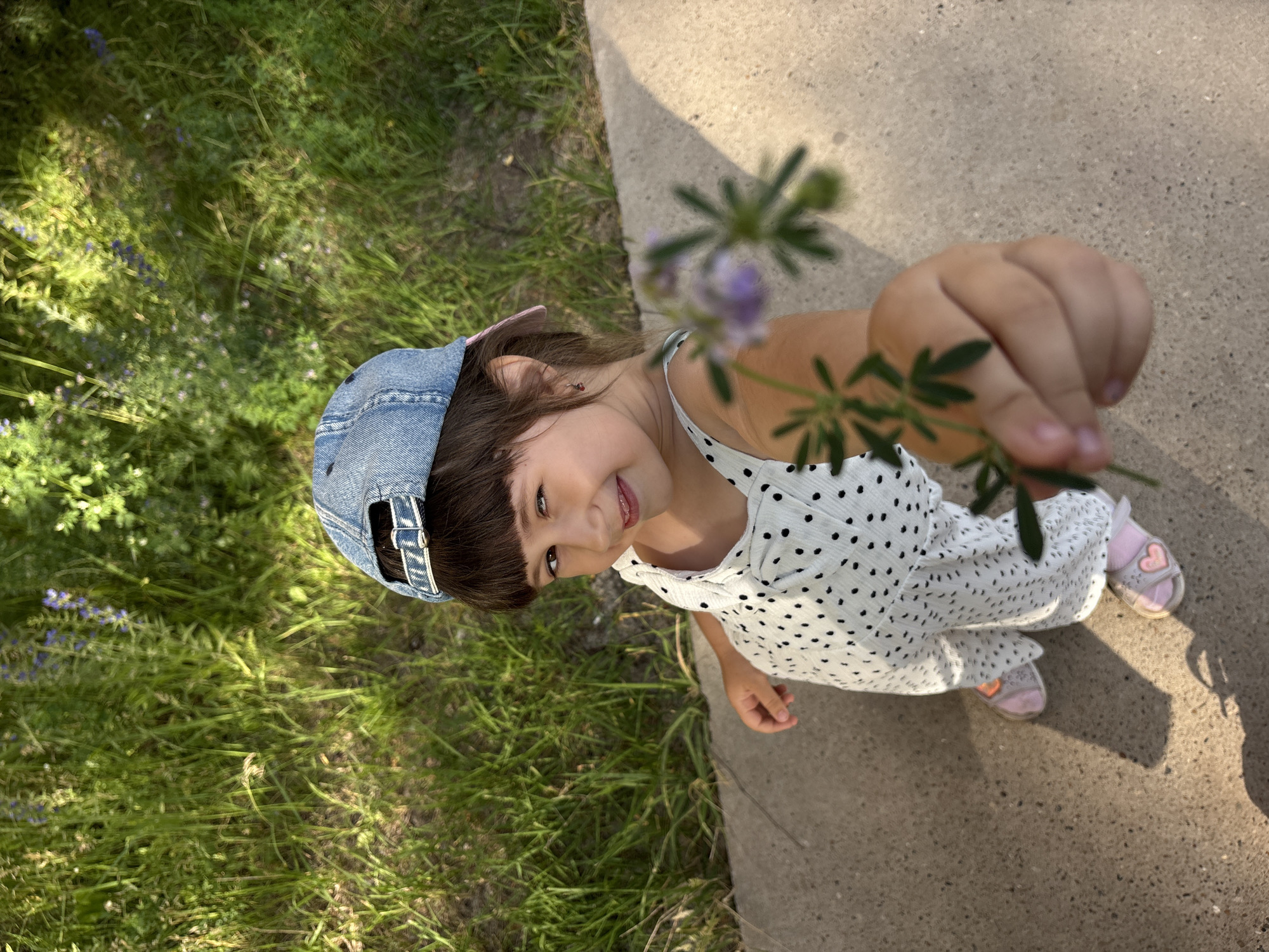 This media file shows a young girl, likely a child, standing on a paved surface next to a grassy area. She is wearing a white dress with black polka dots, a blue denim baseball cap, and pink sandals. The girl is holding a small sprig of purple flowers in her right hand, extending it towards the camera. Her left hand is resting on her lap. She has dark hair and is smiling at the camera, appearing happy and engaged.
The scene is outdoors, with green grass and some small purple wildflowers visible in the background. The ground appears to be a concrete path or sidewalk, with shadows suggesting it is daytime, likely late afternoon or early evening due to the angle of the shadows. The overall impression is one of a casual, sunny day.
The image is taken from a high-angle perspective, looking down at the girl. There is no visible text in the image. The setting appears to be a park or a natural area accessible by a path. The girl's joyful expression and the simple act of presenting flowers suggest a moment of innocent delight and connection with nature. The location context provided is Chaikovsky, Russia.