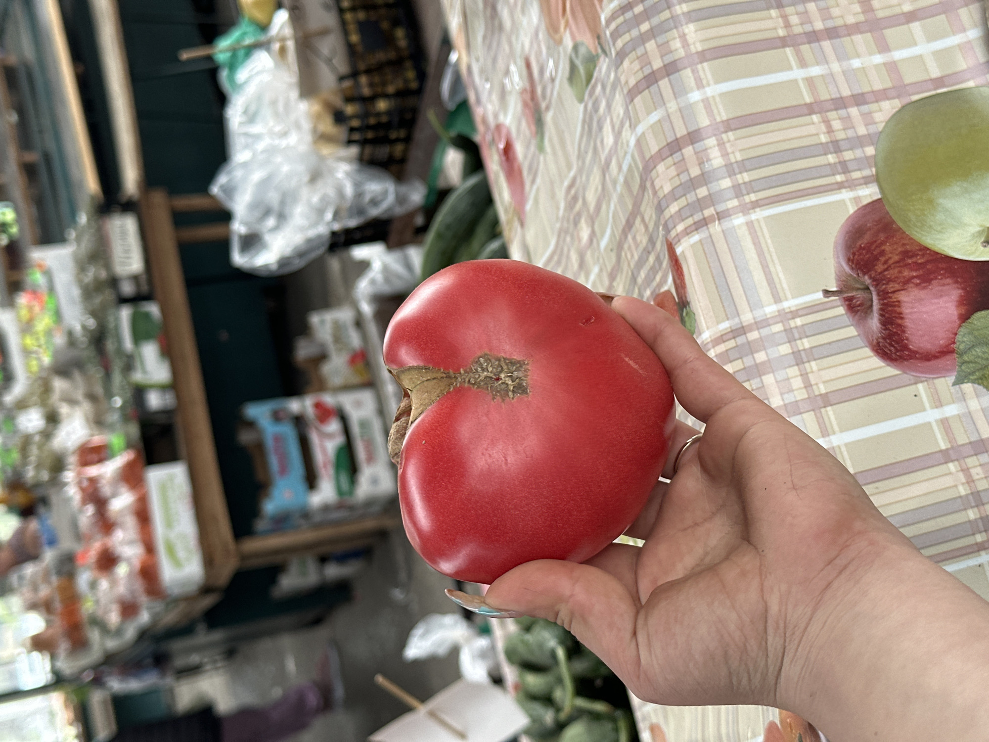 The image shows a hand holding a red tomato with visible bruising near the stem. The background is a blurred market scene, possibly in Sliven, Bulgaria, given the request. There are shelves with packaged goods visible. Part of a tablecloth with a checkered pattern and images of apples is visible on the right. The overall setting suggests a local market or grocery store.