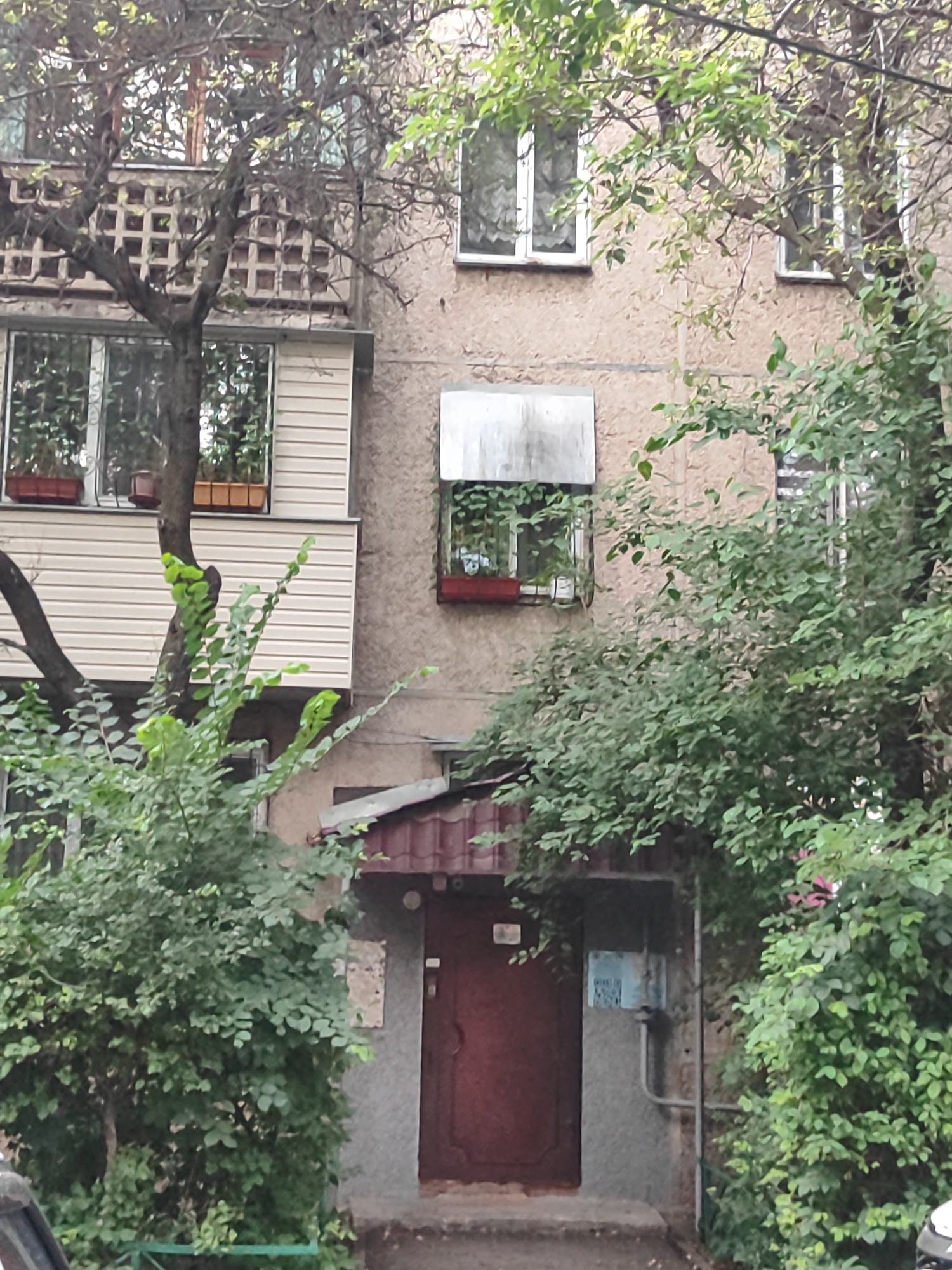 The image depicts the exterior of an apartment building, likely in Almaty, Kazakhstan, given the provided context. The building appears to be made of concrete with textured walls. A dark red door is visible, set within an entryway that has a brown, tiled overhang. The entrance is flanked by lush green foliage, which obscures parts of the lower building and suggests a natural setting, possibly during warmer months.
Above the door, a window with a metal awning is present, with plants visible inside. To the left of this window, another section of the building features a balcony or elevated window area with a distinctive concrete lattice pattern. This section has white horizontal siding and windows with planters containing plants. A tree with dark branches and green leaves grows in front of this part of the building, partially obscuring the view. On the right side of the image, more green trees and bushes surround the building.
The lighting suggests it is daytime, and the overcast sky, indicated by the diffused light, hints at possibly cloudy or overcast weather. No people are visible in the frame. There is some visible text on a blue sign to the right of the door, which appears to be a QR code and some smaller print, along with some Cyrillic text above it. Another small sign with white numbers on a gray background is visible above the door on the building wall. The overall scene conveys a residential environment with a touch of greenery.
