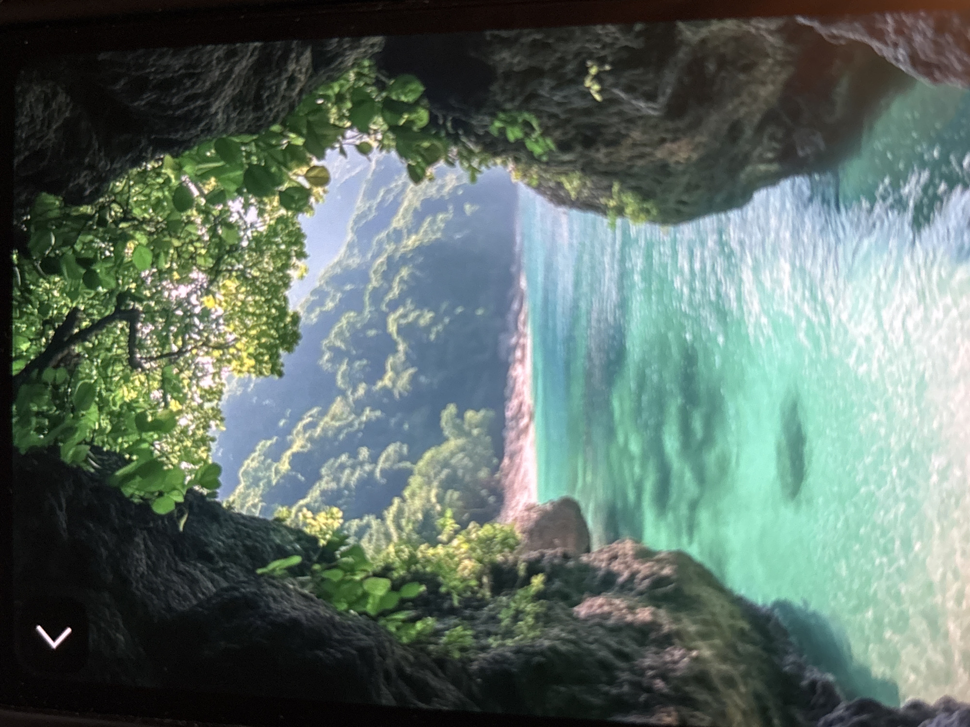 The image depicts a coastal scene viewed from within a cave. Lush vegetation frames the view, with trees and greenery obscuring the edges of the opening. Beyond the cave entrance, a sandy beach meets turquoise water. A forested hillside rises to the left of the beach. The photograph is taken from inside, looking out and slightly upwards. The location is not Belopoptsi, Bulgaria.