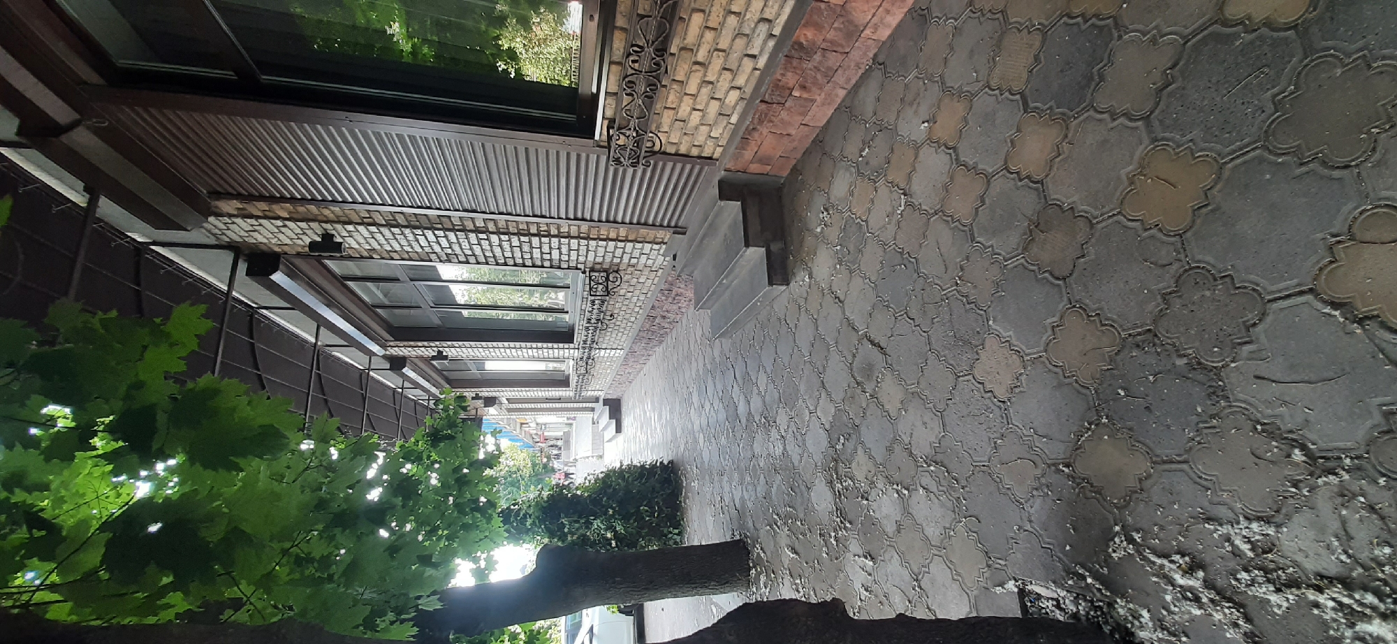 This image depicts a walkway or alleyway in Yessentuki, Russia. The scene is oriented vertically, with the ground appearing to be at the top and the sky at the bottom.
The walkway is paved with decorative, interlocking concrete pavers in varying shades of gray and beige, arranged in a repeating cloverleaf pattern. The pavers show some signs of wear and are partially covered with white debris, possibly salt or sand, suggesting recent or ongoing winter conditions.
To the left of the walkway, there is a building with a dark brown corrugated metal awning supported by a dark metal frame. Below the awning are large windows with dark frames, reflecting green foliage. Further down the alley, more windows and architectural details of the building are visible. There is a large tree with vibrant green leaves in the foreground, partially obscuring the building. A dense green bush is also visible along the walkway.
To the right of the walkway, a brick wall forms the side of another building. The bricks are of varying earthy tones, from light tan to reddish-brown. The wall features decorative wrought iron accents. A set of dark gray concrete steps leads up from the walkway.
The lighting suggests it might be daytime, with sunlight filtering through the leaves and reflecting off the windows, creating a dappled effect. The presence of white debris on the ground hints at colder weather or a specific treatment for icy conditions, potentially indicating a season other than summer, despite the lush green foliage. The overall impression is one of an outdoor area, possibly a courtyard or a passage between buildings, in a Russian town. No people are visible in the frame, and there is no discernible text.