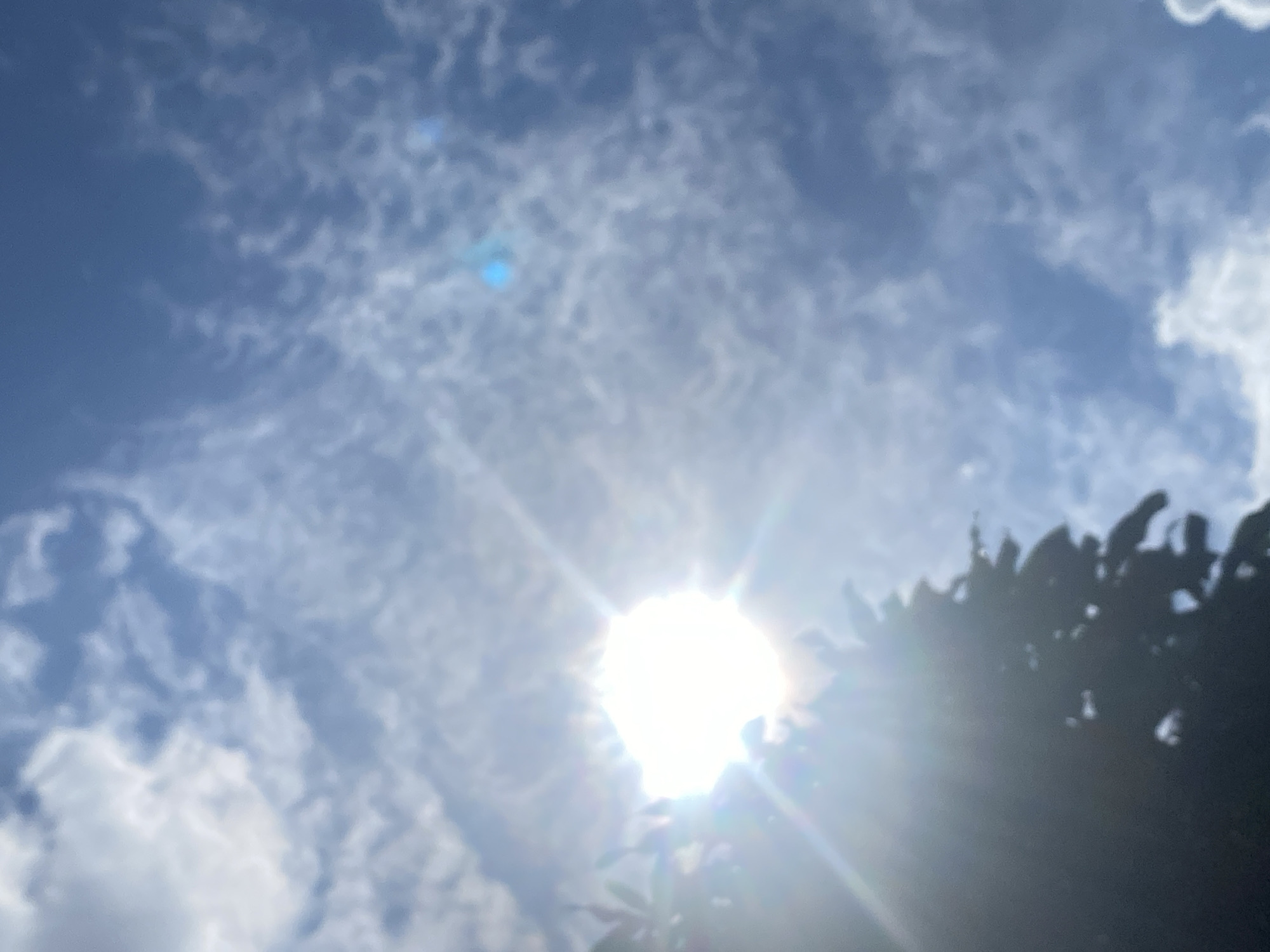 The image captures a bright, sunlit sky filled with scattered clouds. The sun is a prominent, luminous orb in the upper left quadrant, casting bright rays and a lens flare across the scene. In the lower left and extending into the center of the image, the dark silhouette of foliage from a tree is visible, partially obscuring the sun. The sky is a vibrant blue, with wispy white clouds that appear somewhat textured. There are no people or identifiable structures visible in the image. The scene appears to be an outdoor environment, possibly a park or a garden, given the presence of foliage. The location in Banjarbaru, Indonesia, suggests a tropical or sub-tropical climate, which aligns with the sunny weather depicted.