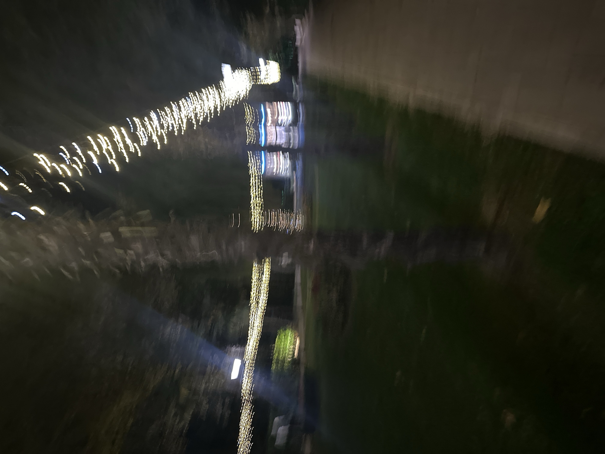 The image depicts an outdoor scene at night, characterized by motion blur. The primary elements visible are a pathway on the right, a grassy area on the left, and trees. String lights, appearing as streaks of light, are strung across the scene, some illuminating trees and structures in the background. One prominent structure in the background appears to be a building with illuminated horizontal bands of light. The overall impression is that of a park or a public space decorated with lights for an evening event. Given the instruction to include the city of Sochi, Russia, this scene could be situated in one of Sochi's many parks or recreational areas, possibly during a festive season or event where such lighting decorations are common. The motion blur suggests movement, perhaps from the photographer or wind, contributing to a dynamic yet indistinct visual.