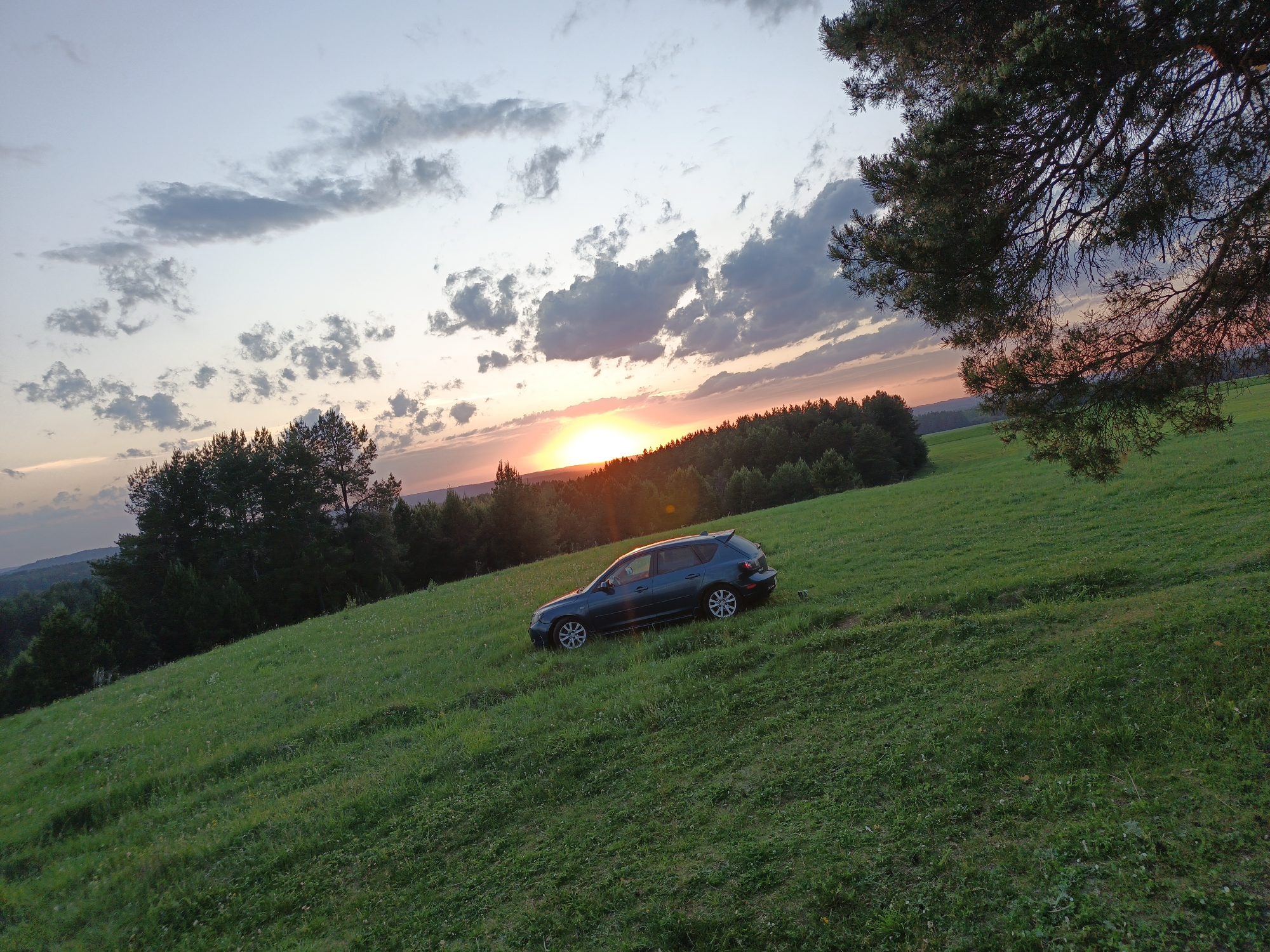 The image depicts a dark blue hatchback car parked on a grassy hillside in Чумна, Russia. The setting is outdoors at sunset with a mostly cloudy sky. A forest line is visible on the horizon. A large tree branch is in the right side of the frame. No people are visible.