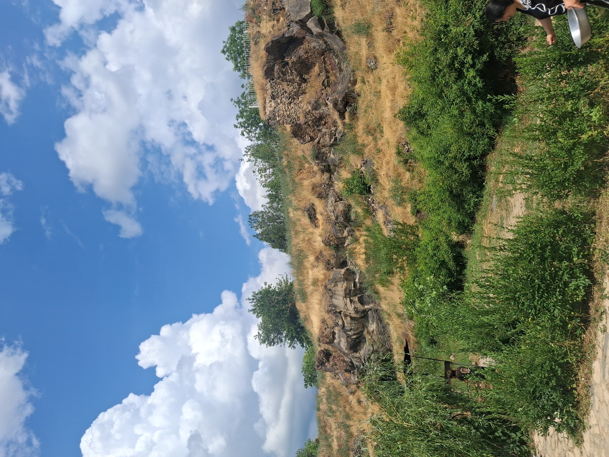 The image depicts a sun-drenched, rugged hillside in Malishka, Armenia, under a vibrant blue sky dotted with large, puffy white clouds. The hillside is covered in dry, golden grass with sparse green vegetation. Prominent rock formations, some with signs of ancient stonework, are visible on the slope. In the foreground, lush green bushes and trees create a dense canopy. To the left, a person is partially visible under a large weeping willow tree, near what appears to be a picnic or grilling area. Further to the right, a woman with dark hair, wearing a black and white patterned shirt, is seen in profile, holding a silver bowl and appearing to interact with the surrounding foliage. The ground in the immediate foreground is a paved stone pathway.