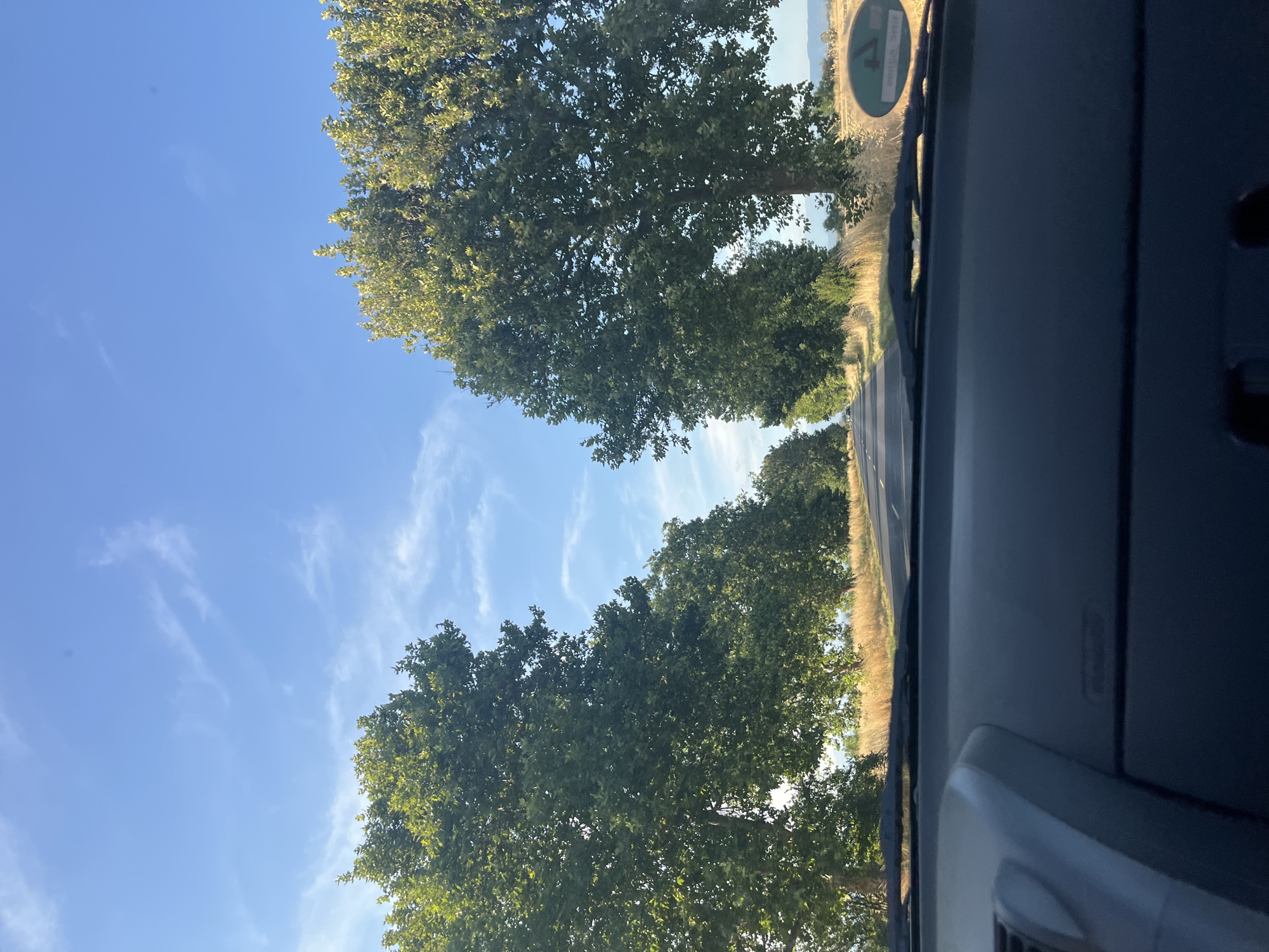 An asphalt road lined with large, mature trees on both sides stretches into the distance. The trees have dense green foliage and their branches form a natural archway over the road. The roadside is bordered by dry, golden grass and fields. The sky is clear blue with a few wispy white clouds. The image is taken from the interior of a vehicle, with the dashboard and windshield visible in the foreground. In the distance, a few cars can be seen on the road. There are no people visible in the image. The scene depicts a scenic rural road, possibly in or around Graf Ignatievo, Bulgaria, characterized by the abundant vegetation and clear sky.