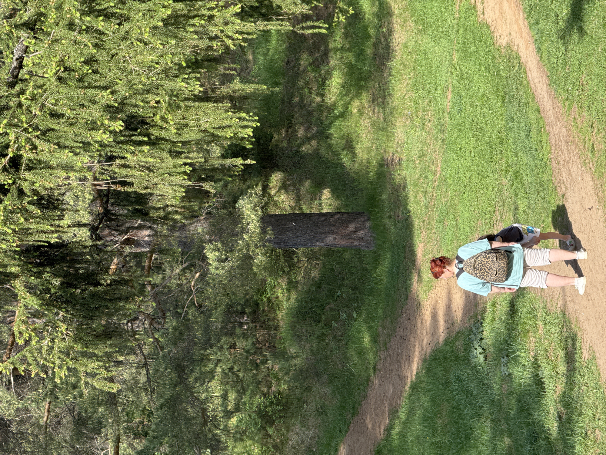 The image depicts a scene in what appears to be a park or wooded area. A person with red hair, wearing a light blue shirt, striped shorts, white sneakers, and a leopard-print backpack, is standing on a dirt path. The path winds through a grassy area, with trees and foliage visible on the left side of the image. The person is standing next to a log, and there is another individual partially visible behind the first person. The photograph has strong lighting conditions, resulting in noticeable shadows cast by the trees. Based on the location provided, the scene likely exists within the city of Chaikovsky, Russia.