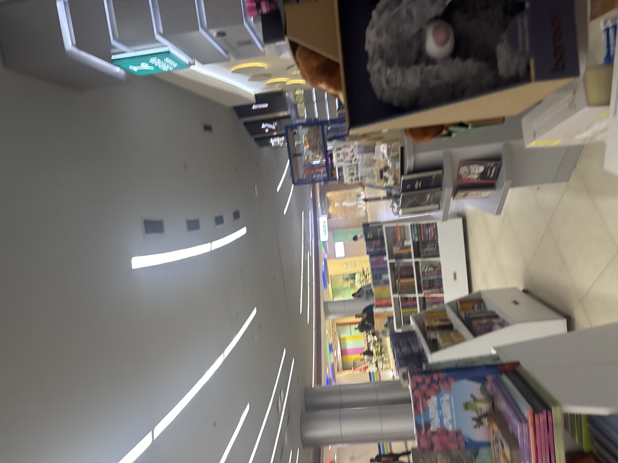 The image captures the interior of a brightly lit, modern bookstore or library in Yerevan, Armenia. The space is characterized by clean lines and an organized layout.
The main subjects are numerous white bookshelves and display units, which are densely packed with a wide variety of books. In the foreground, a prominent book lies on a lower shelf, displaying a colorful cover with an illustration that appears to feature a frog and possibly flora. Text on this book cover is visible but too blurry to read, although it appears to be in a foreign script, consistent with the given location context. On a higher shelf, a large, fluffy gray stuffed animal with a pink nose is visible, suggesting a children's section or gift area.
Several individuals are present in the mid-ground and background, though their features are indistinct due to distance and blur. They appear to be browsing the book selection or sitting in what looks like a dedicated reading or cafe area, furnished with tables and chairs.
Notable details include the distinctive ceiling, which features multiple long, linear fluorescent or LED light fixtures that cast a bright, even light throughout the area. A bright green illuminated exit sign with white arrow symbols is clearly visible in the upper left section of the image (when oriented correctly), pointing towards an exit. The floor is light-colored, possibly tiled, and contributes to the spacious feel of the interior. Towards the right side of the image, metallic-finished columns or pillars add to the modern architectural design. The atmosphere appears calm and conducive to reading and browsing. No specific time of day or weather can be discerned, as it is an indoor setting.