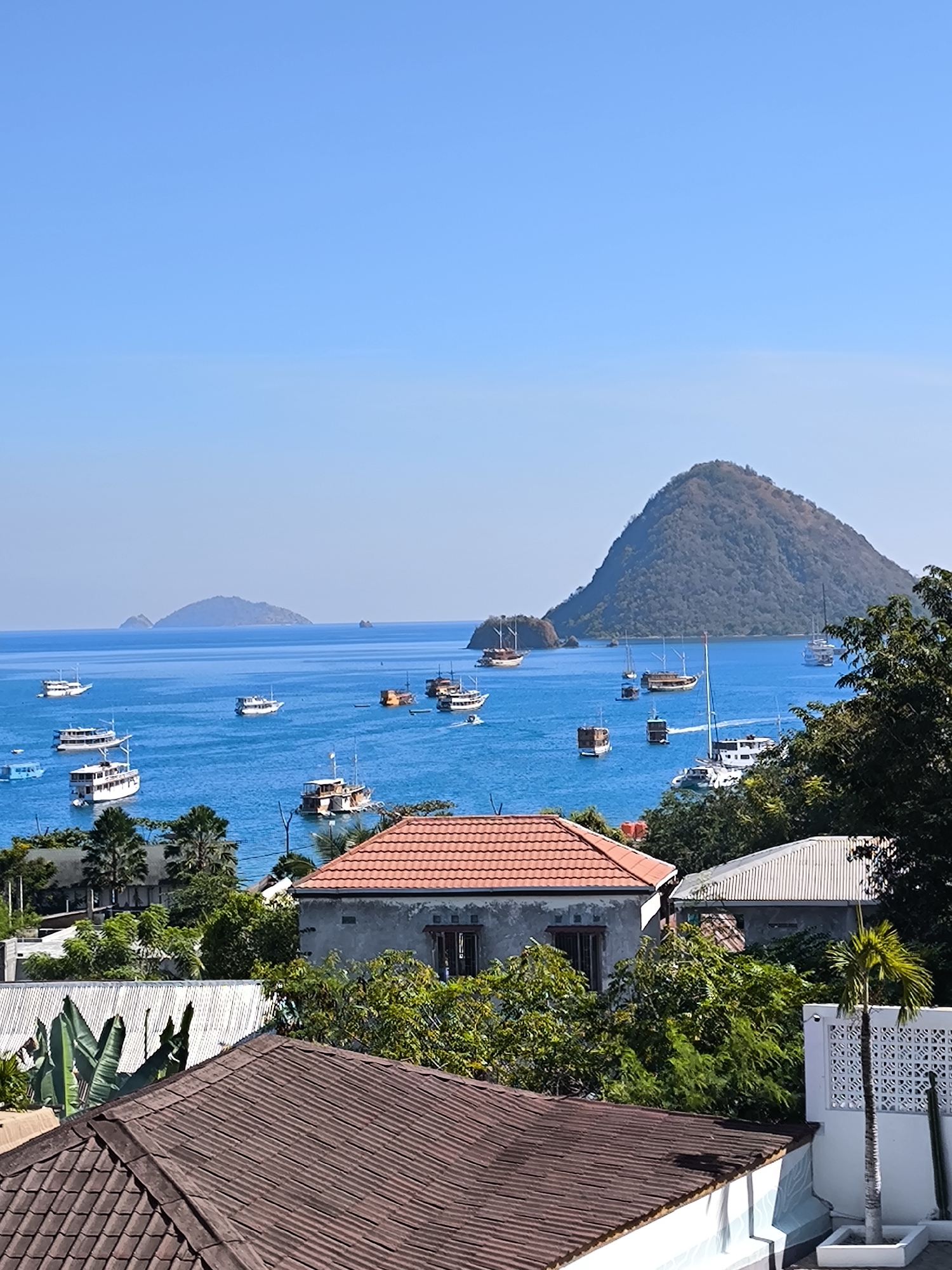 The image depicts a scenic view of Labuan Bajo, Indonesia, characterized by a tranquil bay dotted with numerous boats of various sizes. The clear blue sky serves as a backdrop to a prominent, tree-covered island in the distance, with smaller islands also visible on the horizon. The foreground is occupied by several buildings with tiled roofs, suggesting a residential or tourist area. Lush green vegetation surrounds the structures, adding to the tropical ambiance. The water is a vibrant blue, reflecting the clear weather. The overall scene evokes a sense of calm and natural beauty.