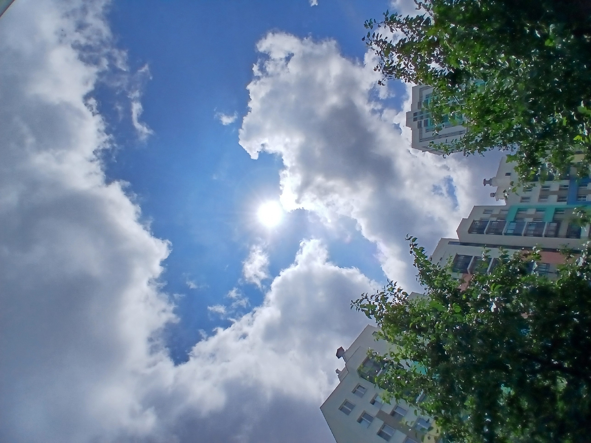 The image depicts a view looking up at the sky from a low angle, with apartment buildings and trees in the foreground. The sky is a vibrant blue, with scattered white clouds and the sun shining brightly, creating a lens flare effect. The apartment buildings are modern in design, with multiple stories and balconies. Green trees with leafy branches are visible in the lower part of the frame, partially obscuring the buildings. The scene appears to be set in a residential area within the city of Yekaterinburg, Russia, given the architectural style of the buildings. No people or specific actions are visible. The overall impression is a bright, sunny day in a city environment.