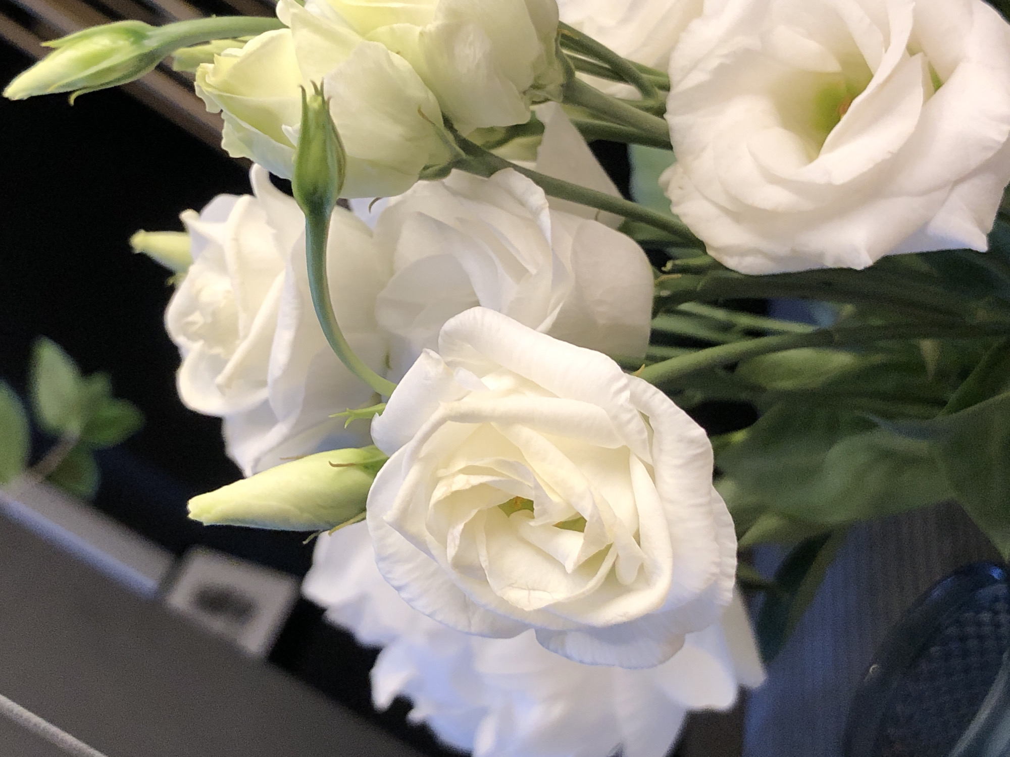 The image is a close-up, indoor shot of a bouquet of white roses with some buds. The flowers are arranged in a vase, which is partially visible at the bottom left of the frame. The lighting suggests it is daytime, but the specific location in Saint Petersburg, Russia, is not discernible from the visual information presented in the image.