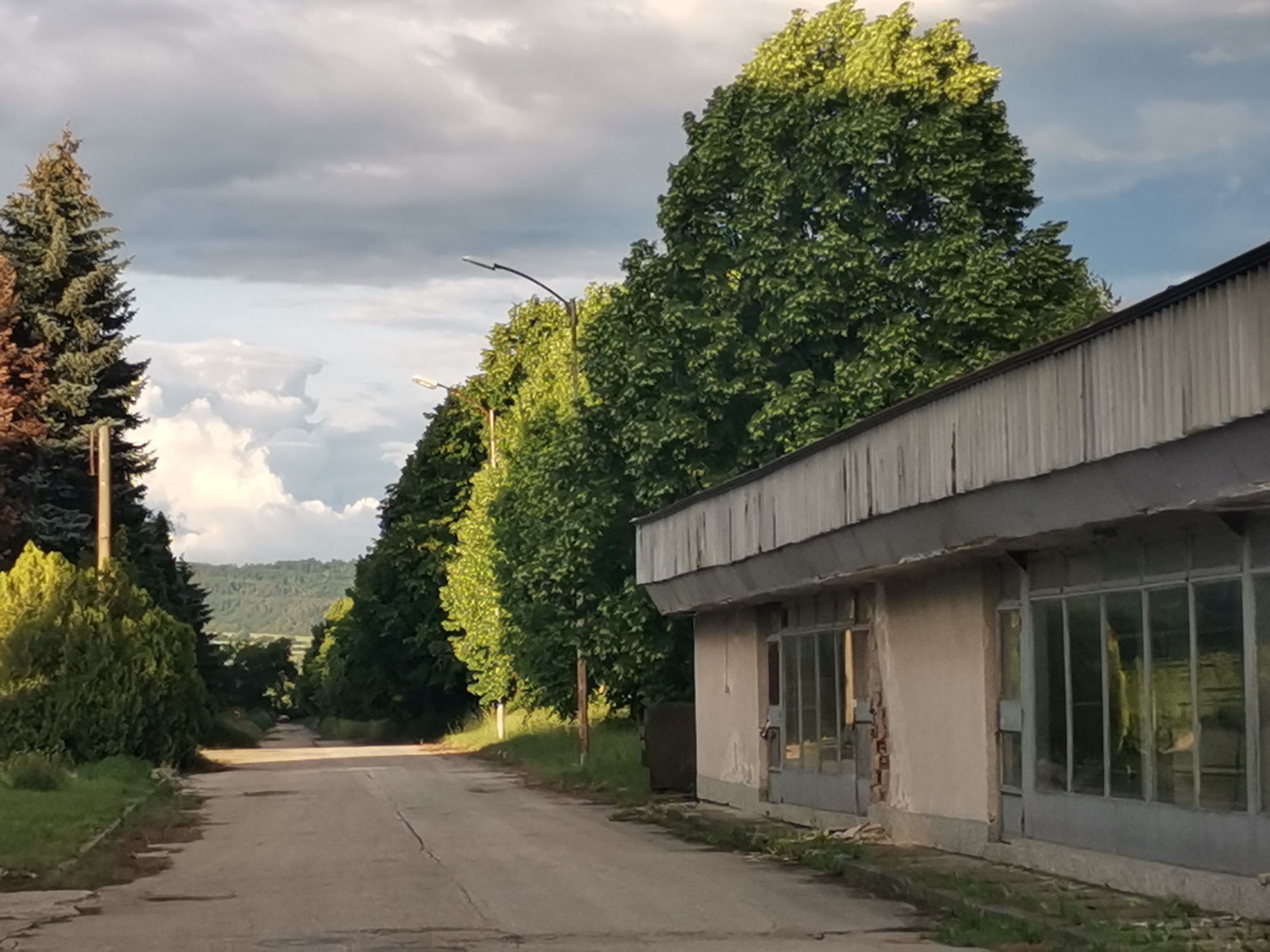 The image captures a quiet, tree-lined road in Zhivkovo, Bulgaria, under a partly cloudy sky, likely in the late afternoon or early evening. The paved road, showing visible cracks and patches of grass, recedes into the distance, suggesting a seldom-used path.
On the left side of the road, a prominent, tall evergreen tree with dark green needles stands beside shorter, bushy foliage. Further along both sides, rows of lush, bright green deciduous trees create a dense canopy that casts shadows and partially obscures the background. Several modern streetlights with curved arms are visible among the trees, indicating a once-maintained area.
To the right, in the foreground, stands a single-story building that appears disused or abandoned. Its light-colored facade shows significant weathering, including peeling paint and exposed brickwork. The building features large, multi-paned windows, some of which appear damaged or reflective of the surrounding greenery. A flat roof, covered with vertical paneling, extends over the facade.
In the distant background, gentle hills covered in trees can be seen under the sky, which displays a mix of dark, heavy clouds and brighter, whiter cumulus formations. The overall scene evokes a sense of tranquility, abandonment, and the passage of time, with nature beginning to reclaim man-made structures. There are no people or visible text in the image.