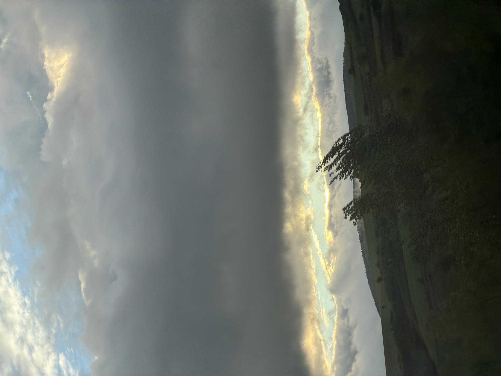 This image captures a dramatic natural landscape, likely in the region of Blajievo, Bulgaria, dominated by an expressive sky at either sunrise or sunset.
The scene is composed of a contrasting sky and a rolling, hilly terrain. The upper portion of the sky is covered by extensive, dense dark grey clouds, suggesting heavy cloud cover or an approaching weather front. Below these dark clouds, a spectacular, horizontal band of intense golden light cuts across the mid-ground, illuminating the edges of the clouds with vibrant hues of yellow and orange. This brilliant light appears to be breaking through or reflecting off the clouds, creating a striking visual division. To the far left, patches of lighter, whiter clouds and glimpses of a pale blue sky are visible, hinting at clearer conditions beyond the main cloud mass.
Below the luminous sky band, the landscape consists of dark green, undulating hills or mountains, partially silhouetted against the brighter horizon. The terrain appears rural and natural, with no visible structures or human activity. In the immediate foreground on the right side, the dark silhouette of a tree branch with foliage extends into the frame, adding depth to the composition.
No people, specific objects (other than natural elements), or text are visible in the image. The dramatic lighting and cloud formations evoke a sense of awe and highlight the powerful beauty of natural weather phenomena, characteristic of either dawn or dusk.
