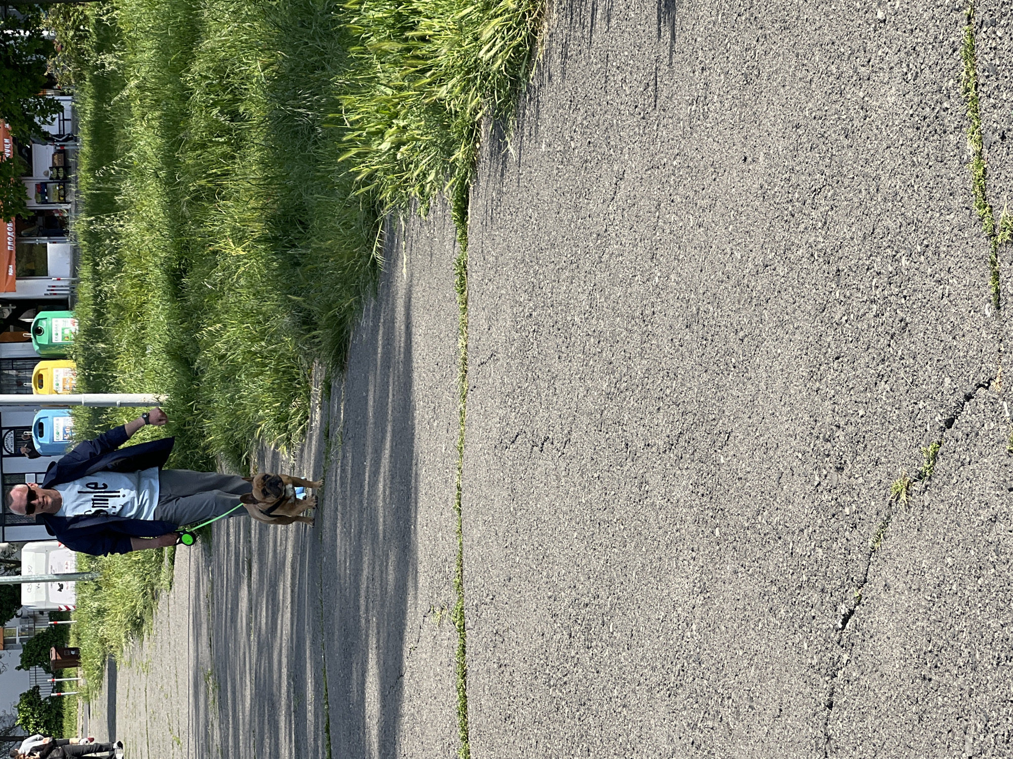 The image shows a man walking a brown bulldog on a leash on a paved path in Burgas, Bulgaria. The path is bordered by grass on the left and a cracked asphalt surface on the right. In the background, there are recycling bins, commercial establishments and buildings. The man is wearing sunglasses, a light-colored t-shirt, a dark blazer, and gray pants. The dog is small and brown. The overall lighting suggests a sunny day.