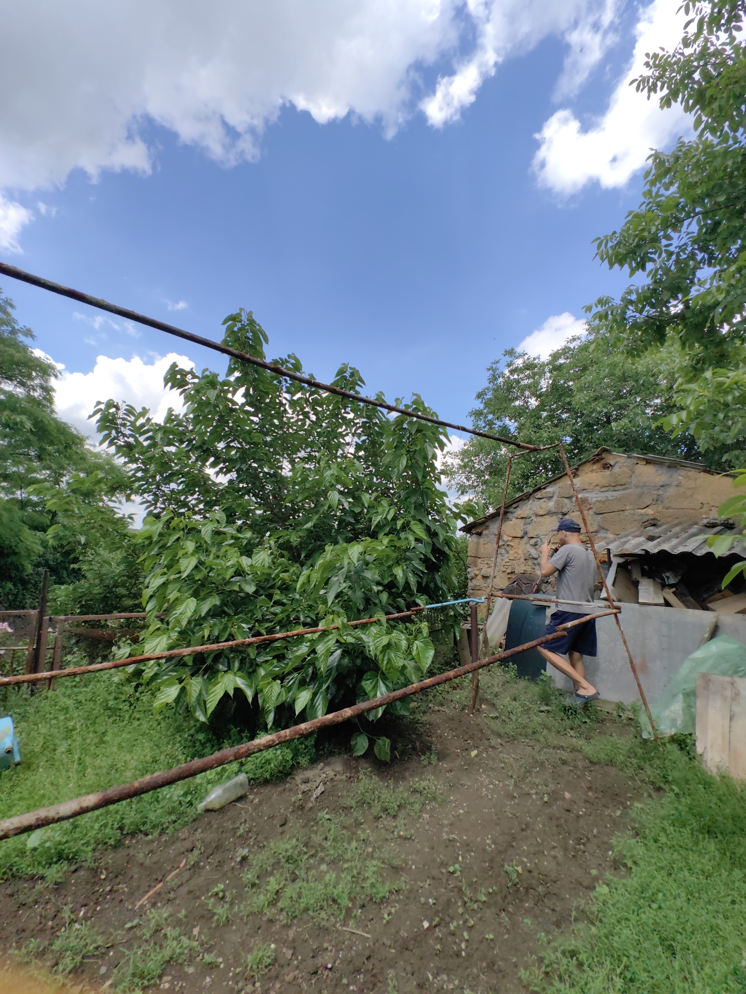 A person is standing outdoors near a rustic building. The person is wearing a dark baseball cap, a grey t-shirt, and dark shorts with blue accents. They are holding a phone up to their ear, as if talking on it. The building has a stone facade and a corrugated roof. In the foreground, there are rusty metal bars or pipes supporting some sort of structure. Lush green trees and foliage surround the area, and the sky is blue with scattered white clouds. The ground is a mix of dirt and grass.