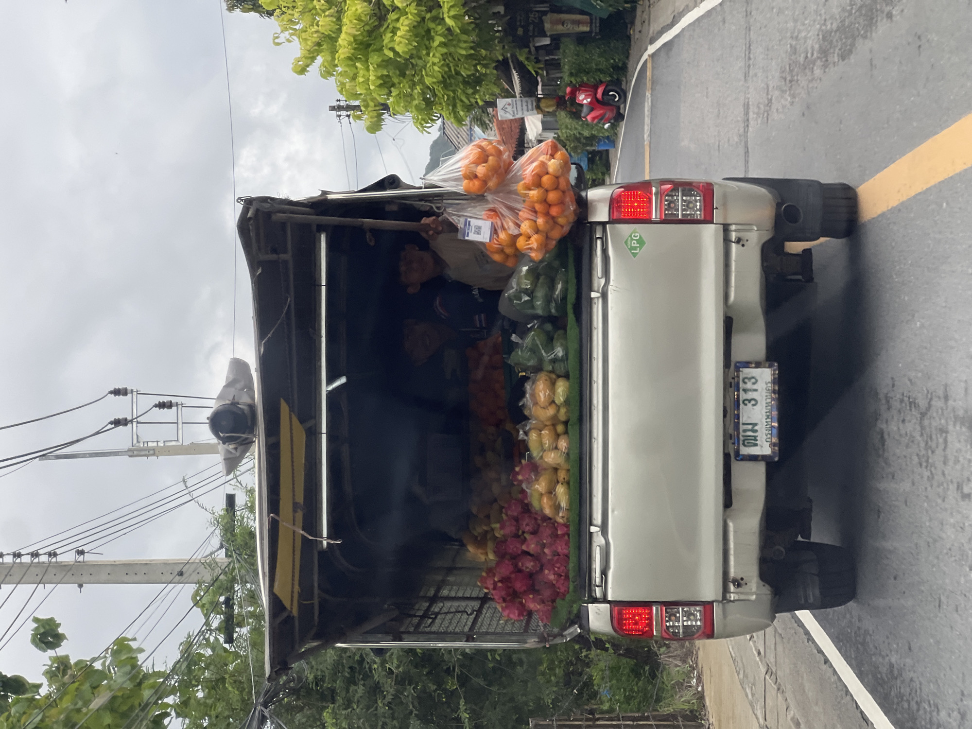 An overhead shot, rotated 90 degrees clockwise, captures a silver pickup truck serving as a mobile produce vendor on a paved road. The truck's bed is open, revealing a vibrant display of fresh fruits and vegetables.
Large, clear plastic bags filled with bright orange citrus fruits (likely tangerines or oranges) are piled high near the rear of the truck, with a visible QR code sticker on one of the bags. Below them, a substantial quantity of red dragon fruit is visible, alongside yellowish fruits resembling papayas or mangoes, and some green vegetables. Inside the truck bed, partially obscured by the produce, at least one person, possibly a vendor, can be seen wearing a light-colored shirt.
The truck features an "LPG" sticker near its right taillight. Its rear license plate, clearly visible, displays Thai script and numbers: "กตม 313" with "กรุงเทพมหานคร" (Bangkok) written below.
The truck is positioned on a road with a distinct yellow solid line and a white line marking the edge. Lush green trees and foliage line the side of the road, creating a natural backdrop. Overhead, numerous power lines are strung between wooden utility poles, set against an overcast, grey sky. In the mid-ground, a red scooter is partially visible. The scene depicts a typical mobile market setting, likely in Thailand, under daylight conditions with cloudy weather.