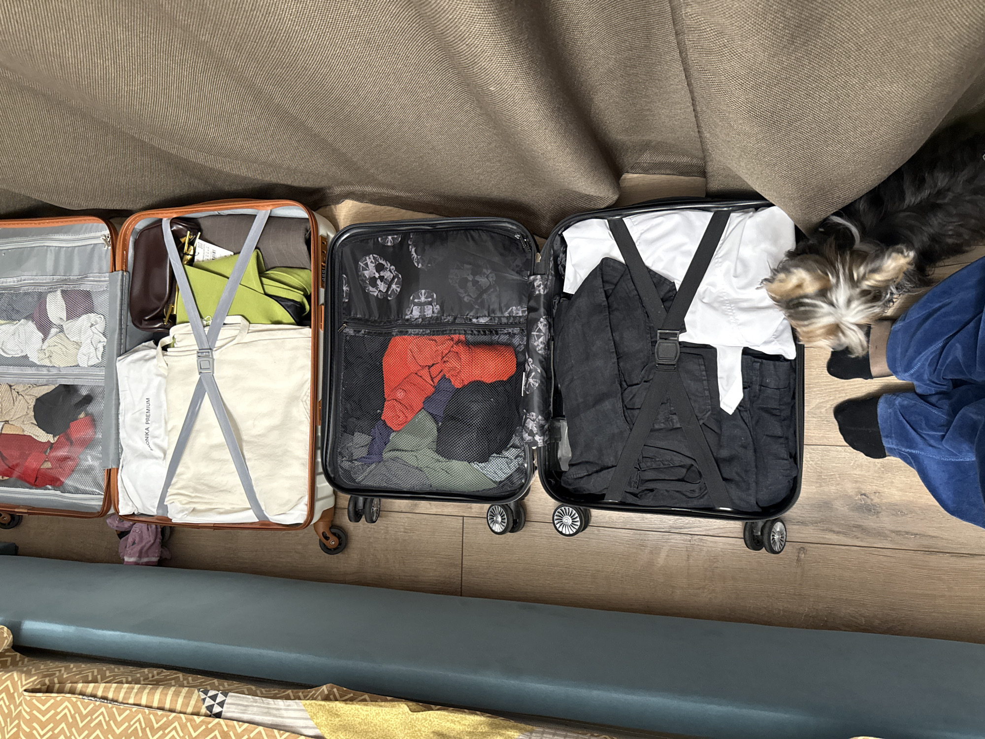 The image shows four open suitcases on a wooden floor. The suitcases are packed with clothing. A dog is partially visible next to one of the suitcases, and a person wearing blue pants is also partially visible. The location is not specified as Ovoshchnoy, Russia, within the image.