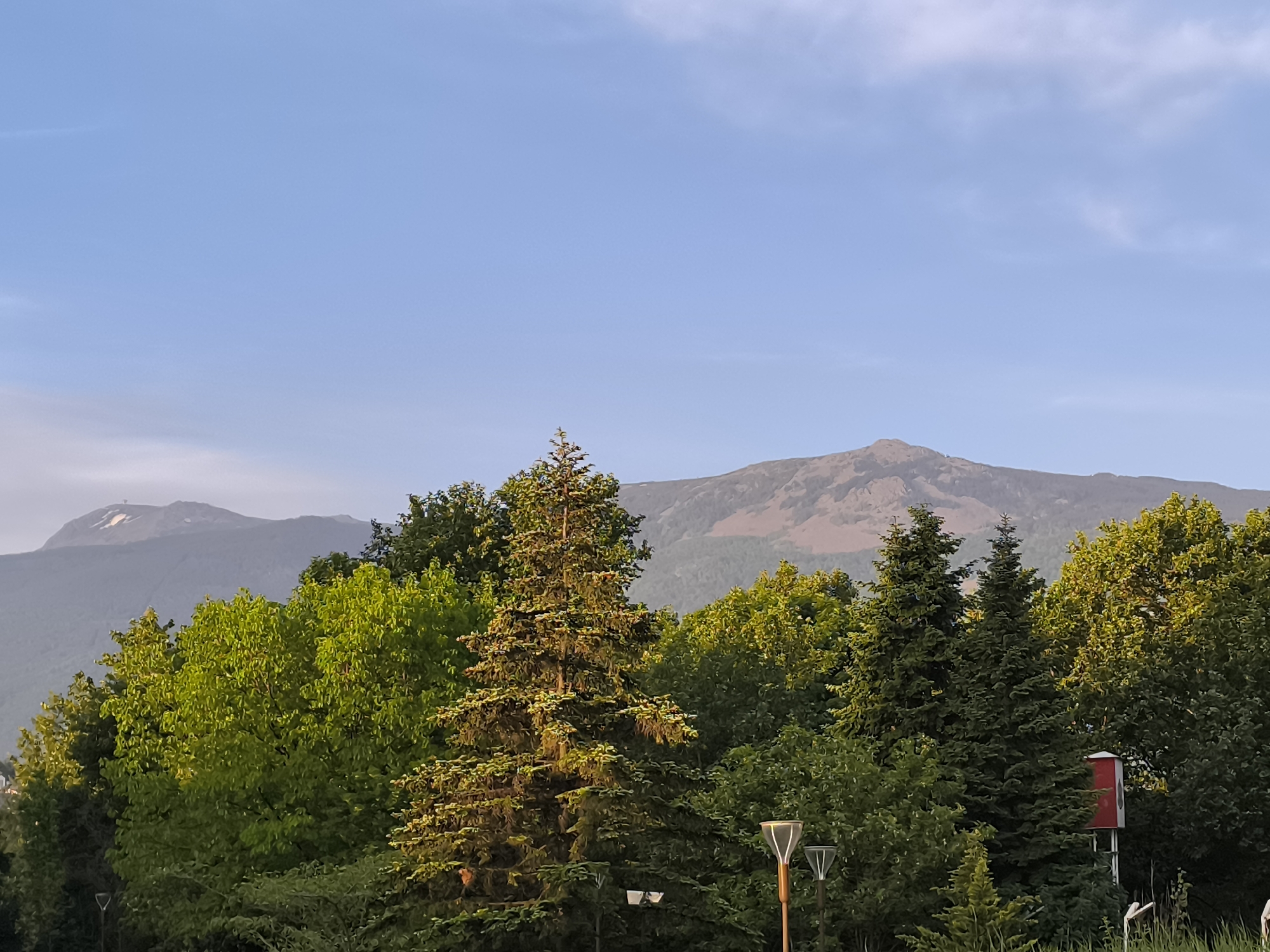 The image shows a landscape in Sofia, Bulgaria, featuring a view of Vitosha Mountain in the background. The foreground is dominated by lush green trees of various types, including deciduous trees and several coniferous evergreens. Street lamps and a red and white object, possibly a street furniture item, are visible among the trees. The sky is clear blue with slight clouding. The mountain range has varying shades of grey and brown, indicating rock formations and vegetation. No people or animals are visible. The overall environment suggests a park or green area within the city with a scenic vista.
