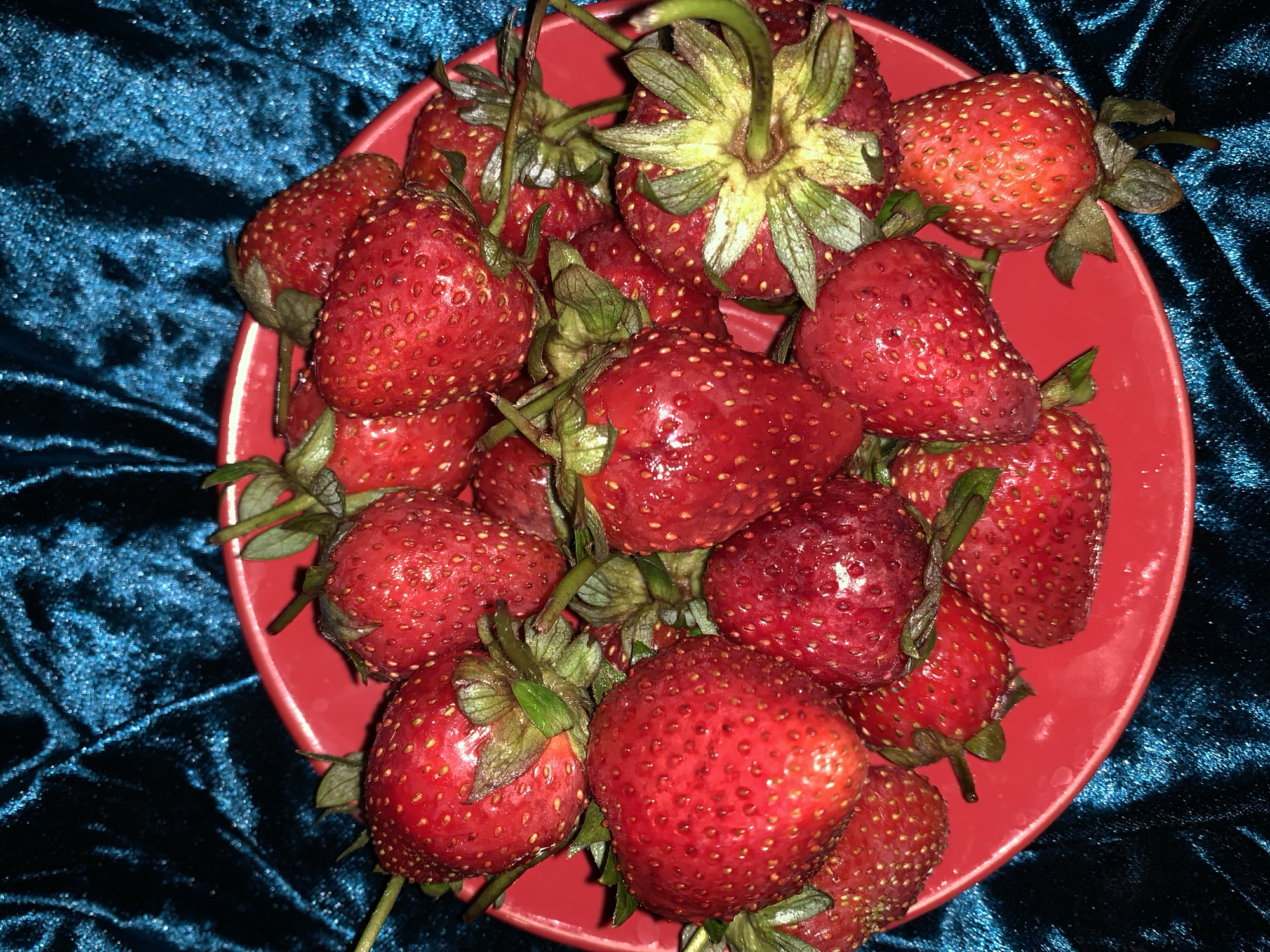 A close-up, top-down shot captures a bright red bowl overflowing with ripe strawberries. The bowl is placed on a textured, dark blue velvet fabric, which has a slightly reflective quality that catches the light. The strawberries are a vibrant red, with visible seeds dotting their surfaces. Many of the strawberries still have their green stems and leaves attached. The lighting in the image is somewhat dramatic, with some areas of the strawberries appearing brighter and more illuminated than others, creating subtle highlights and shadows. The overall impression is one of fresh, abundant fruit. There are no people or other objects visible in the scene.