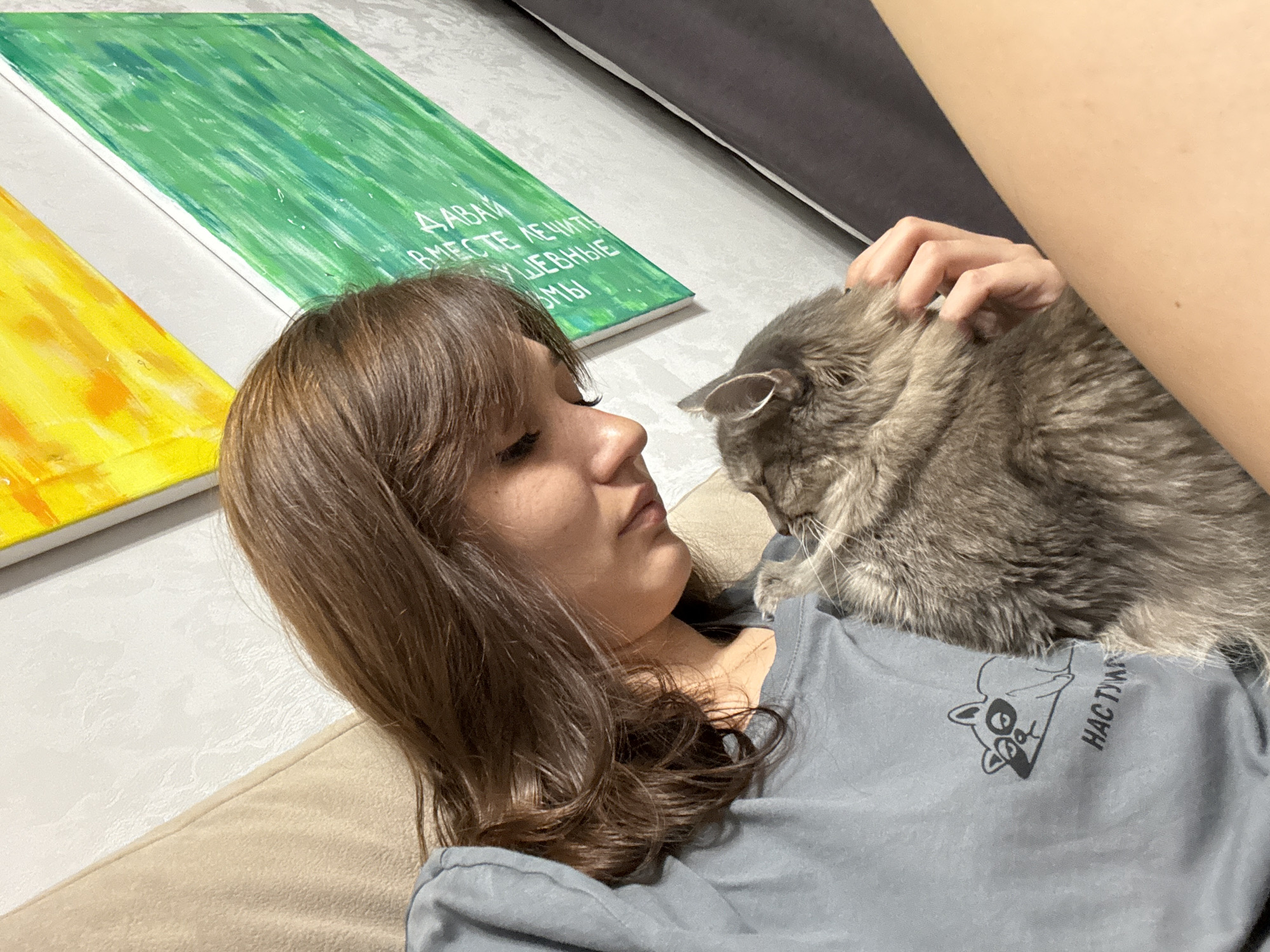 A medium shot captured from a high angle shows a young woman with long brown hair cuddling a grey fluffy cat on a couch. She is wearing a grey t-shirt with a cartoon raccoon graphic. The cat is nestled in her arms, facing her. The background features abstract art on the wall, with yellow and green panels. The scene appears to be indoors, possibly in a living room. The lighting is soft and natural. The image's angle and composition suggest a candid moment. There is no identifiable location in Novokuznetsk, Russia within the image.