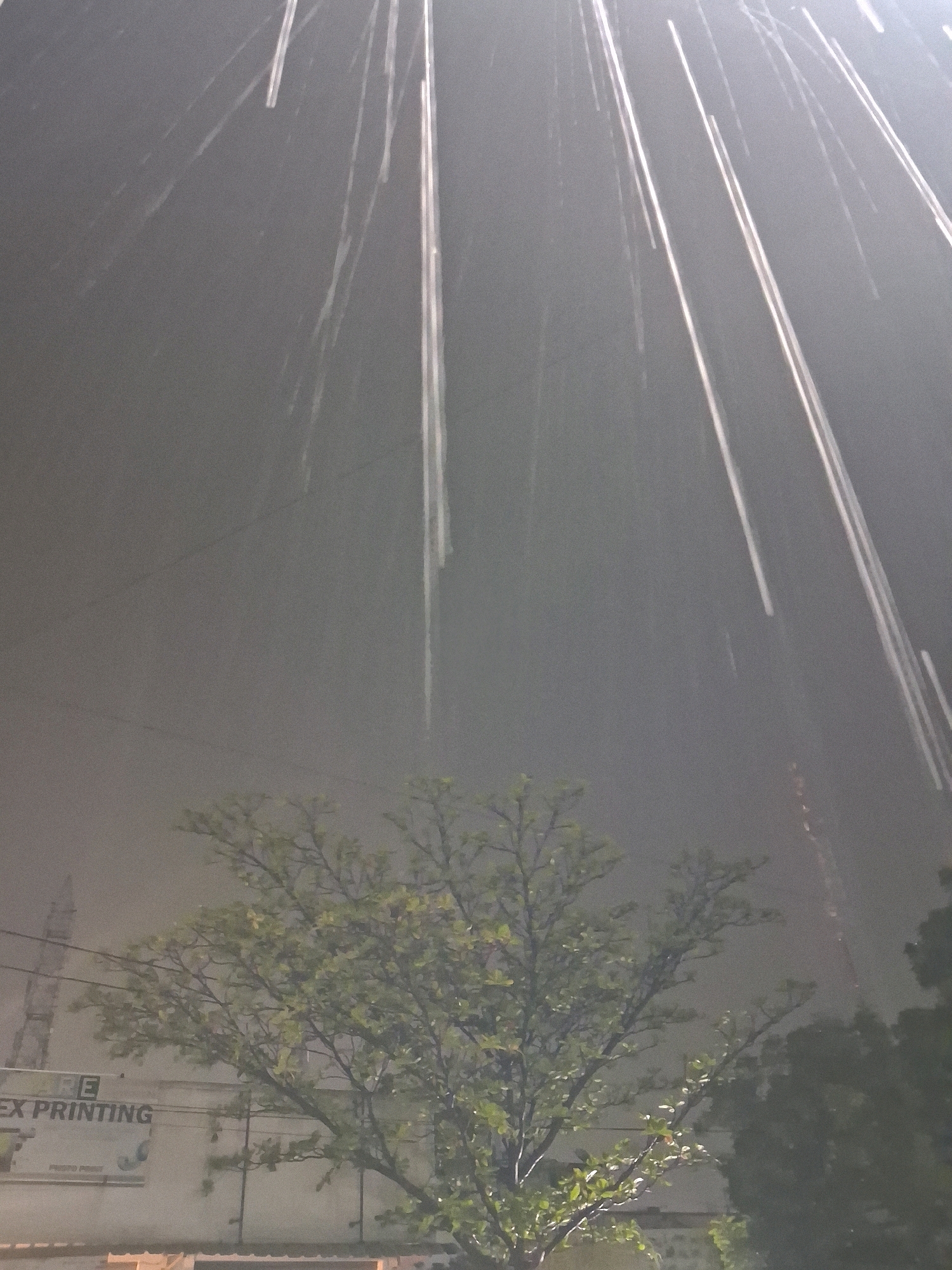 In Kulathur, India, the image captures a nighttime scene during a downpour, with visible streaks of rain illuminated by unseen light sources. The foreground is dominated by a deciduous tree with a full canopy of green leaves, its branches extending towards the upper portion of the frame. Behind the tree, a building with visible signage reads "EX PRINTING". Power lines are subtly present, crisscrossing the background. The overall atmosphere is dark and hazy, indicative of heavy rain and low visibility. There are no people visible in the image.