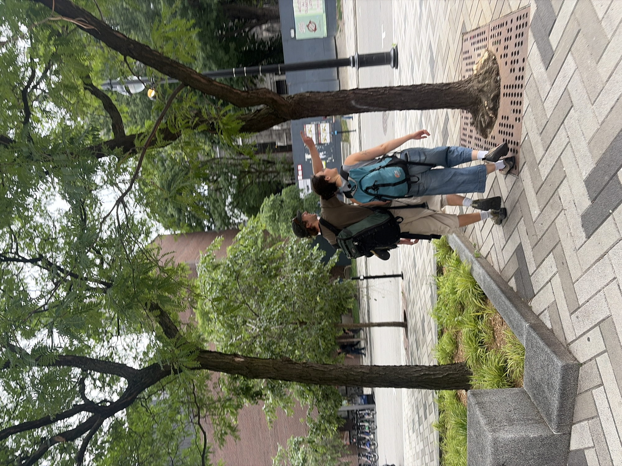 This image captures a street scene in Montreal, Canada. Two individuals, a man and a woman, are walking away from the camera on a patterned brick sidewalk. The man is wearing a dark olive t-shirt, khaki shorts, a baseball cap, and a dark green backpack. The woman is wearing a light blue backpack, denim culottes, and a striped top. The man is gesturing with his right hand towards something off-camera. They are walking past trees with green foliage and a granite planter. In the background, there is a brick building, a street with parked bicycles, and a lamppost. The overall environment suggests an urban setting on a cloudy day.