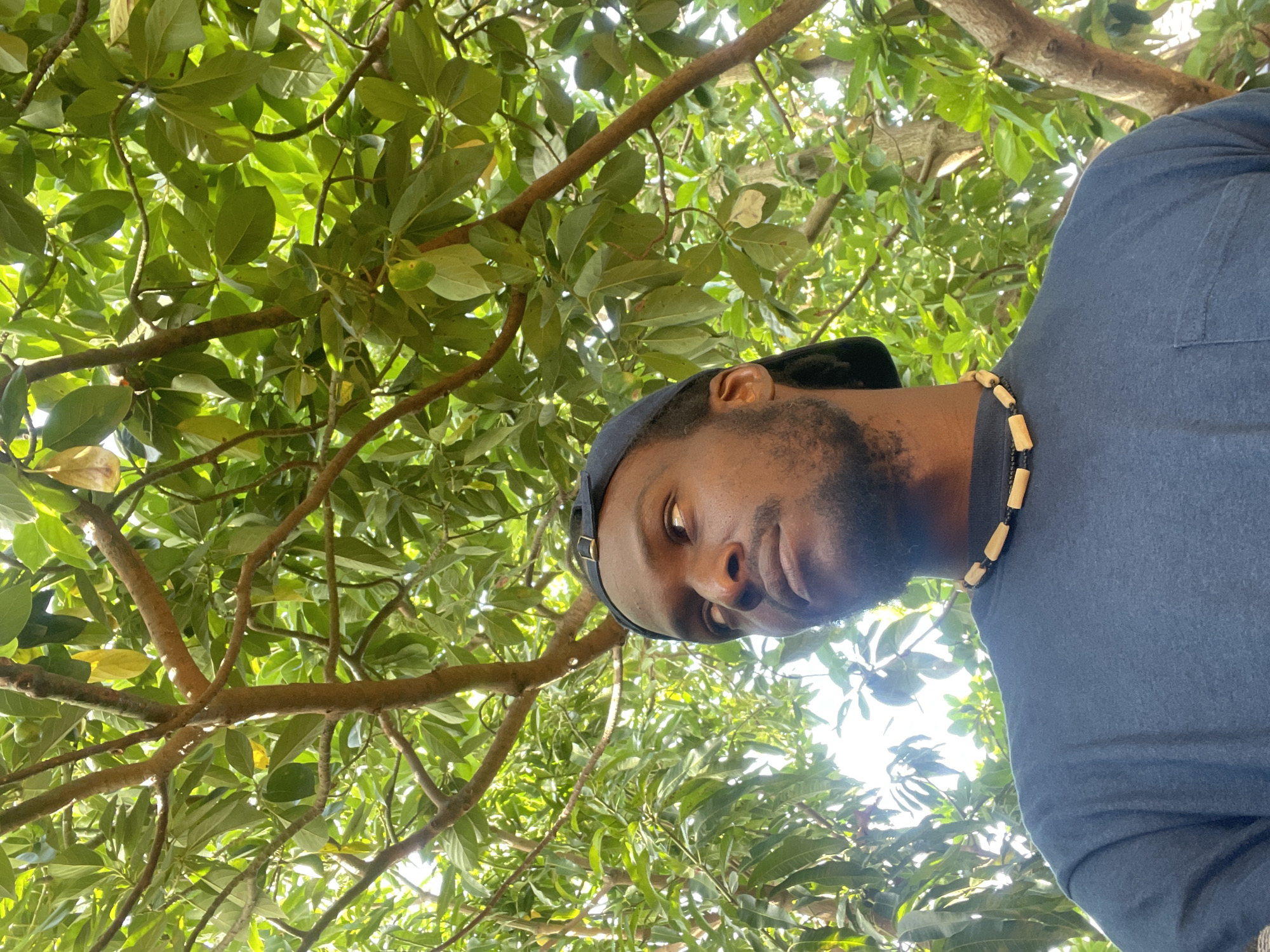 The image, taken from a low-angle perspective, features a Black man partially visible against a backdrop of dense green tree foliage. He is positioned with his head towards the right side of the frame, looking slightly upwards and to his right with a neutral or contemplative expression. He wears a dark blue t-shirt and a dark cap, and a necklace with light-colored, elongated wooden beads interspersed with smaller dark beads is visible around his neck. He has a beard or stubble.
The setting is outdoors, beneath a tree with numerous green leaves and brown branches forming a thick canopy. Bright sunlight filters through the leaves, creating illuminated areas and suggesting a clear, sunny day. The lush, broad-leafed foliage is consistent with a tropical or sub-tropical environment, fitting the location context of Jos, Nigeria. No specific activity is depicted beyond the man being photographed. There is no visible text in the image.