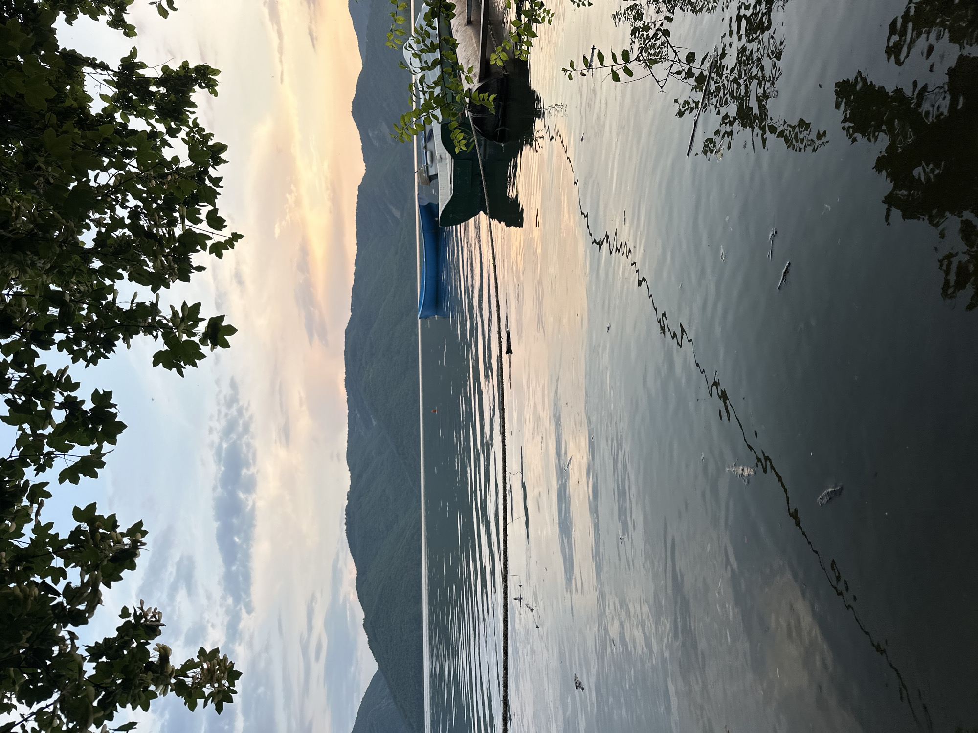 This image presents a serene natural landscape, likely captured during either sunrise or sunset, depicting a calm body of water with mountains in the background and foliage framing the foreground.
The sky, occupying the upper portion of the frame, displays soft, warm hues of yellow and orange near the horizon, gradually blending into lighter blues and greys with scattered clouds above. This atmospheric lighting casts a gentle glow over the entire scene.
The central and largest element is the body of water, which appears very still, reflecting the colors of the sky and the forms of the distant mountains and nearby foliage. Two small boats are visible on the water near the left side. One boat is bright blue, and another, darker-colored boat (possibly dark green or black), is moored closer to the edge, with some green leafy branches hanging over it. A dark, thin rope stretches horizontally across the water, creating a visual line. Small ripples and floating debris are scattered across the water's surface, particularly in the lower right quadrant.
In the background, a range of large, verdant mountains rises, their slopes covered in trees. Their forms are silhouetted against the lighter sky, appearing somewhat hazy in the distance.
On the far left, dark green leaves and branches of a tree frame the shot, extending into the water and creating reflections. This foliage adds depth and a natural, organic element to the composition.
The overall impression is one of tranquility and natural beauty. The time of day, indicated by the soft light and sky colors, enhances the peaceful atmosphere. The location context of Glavatartsi, Bulgaria, suggests this could be a lake or reservoir within a mountainous region. No text is visible in the image.