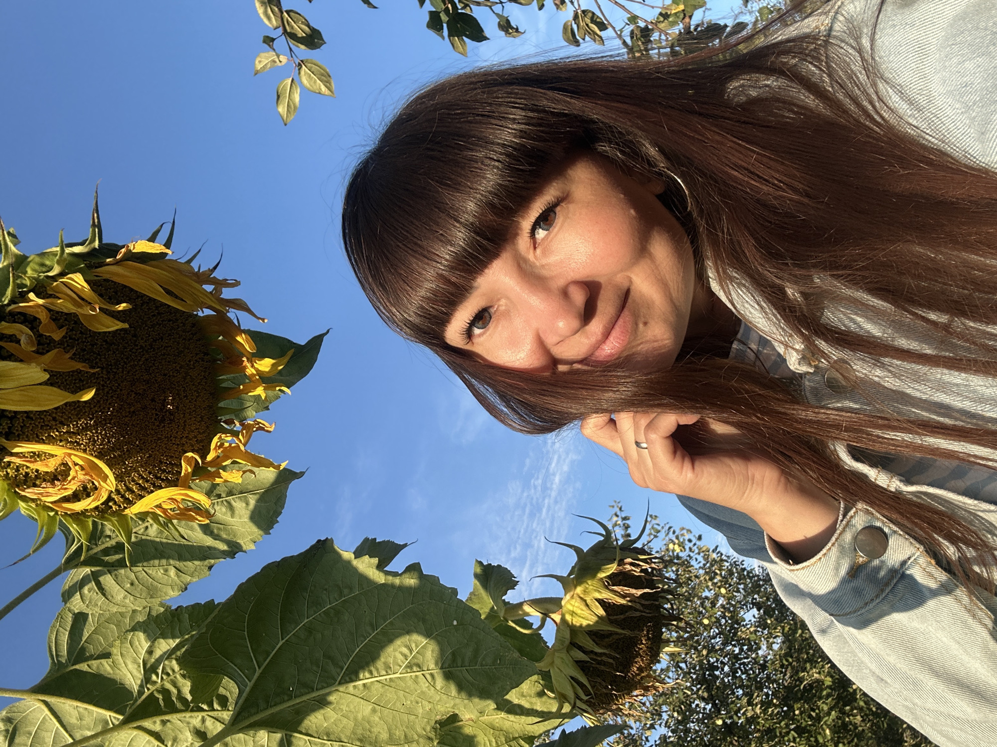 A low-angle, outdoor, selfie captures a smiling woman with long, brown hair and bangs, wearing a light-wash denim jacket. She is positioned in the foreground, with a large sunflower head and its green leaves dominating the upper left portion of the frame. The background consists of a clear blue sky and hints of trees and foliage. The woman is touching her hair near her cheek with her right hand, which wears a silver ring. The image appears to have been taken during daylight, with the sun casting shadows on the sunflower leaves. The location is not specified as being in the city of Прикамский, Russia.